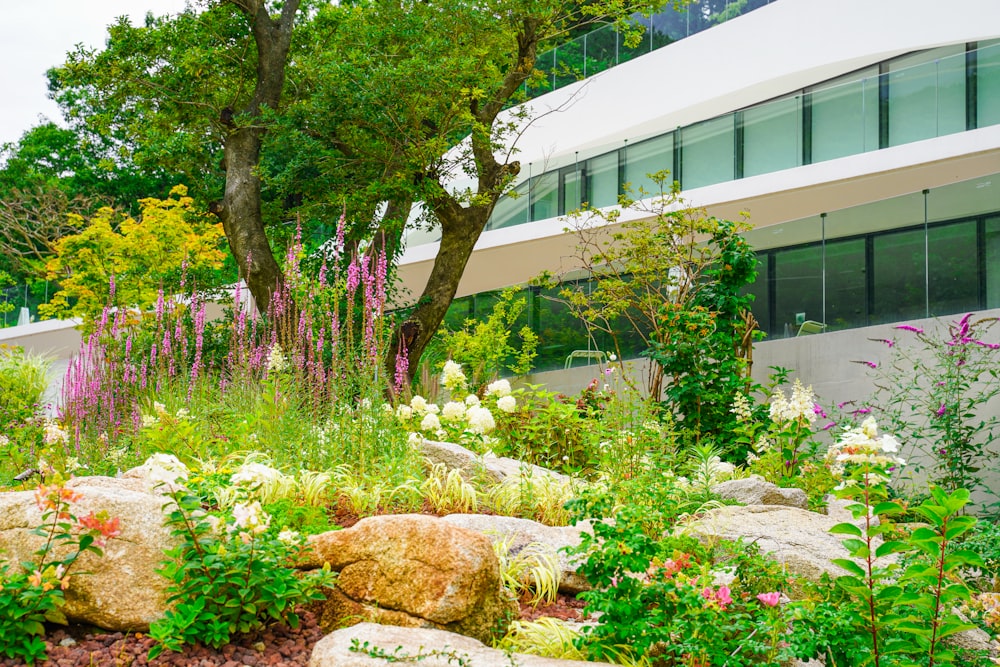 green and brown tree near white concrete building during daytime