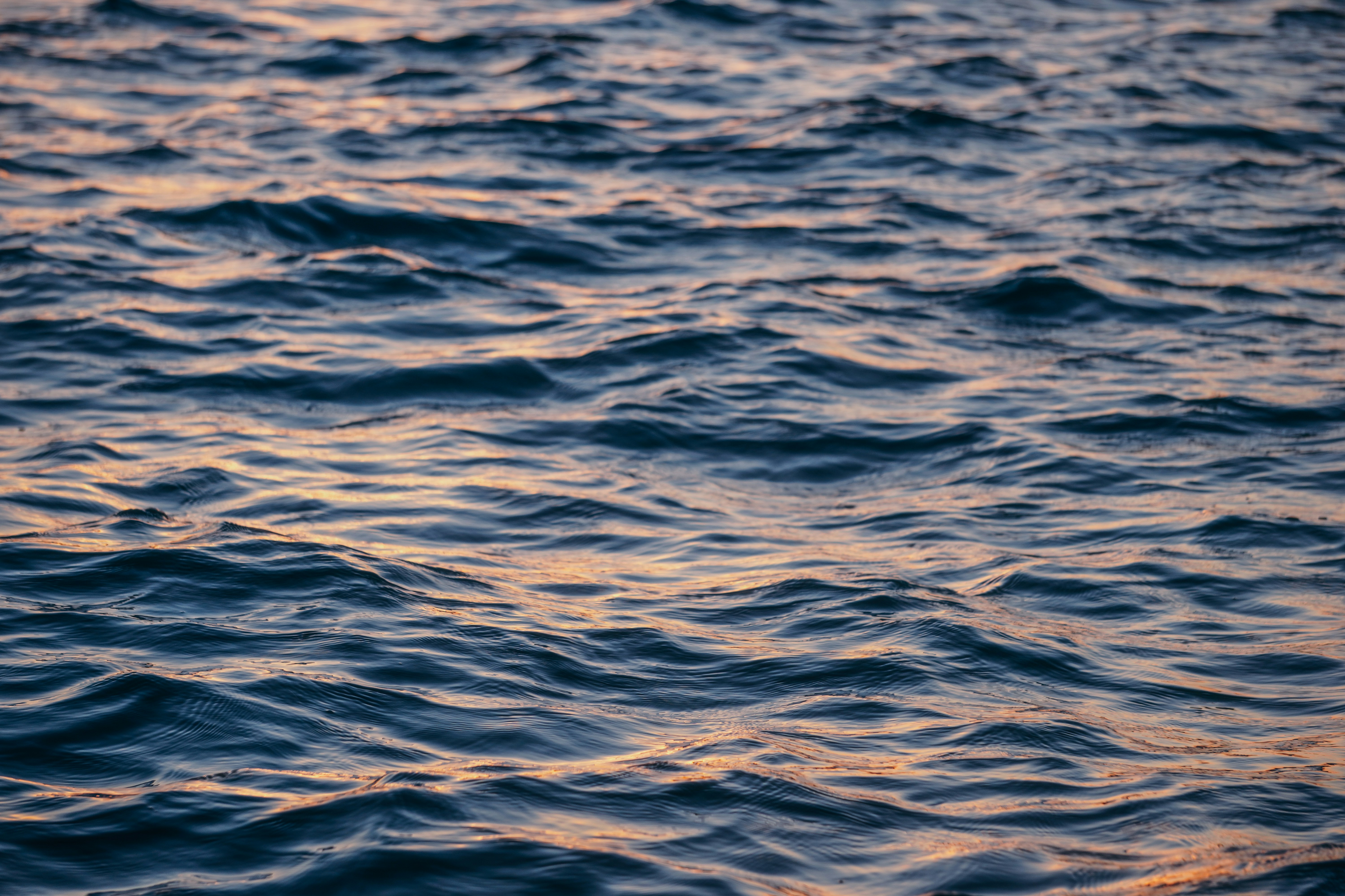 Photo by kat_von_wood