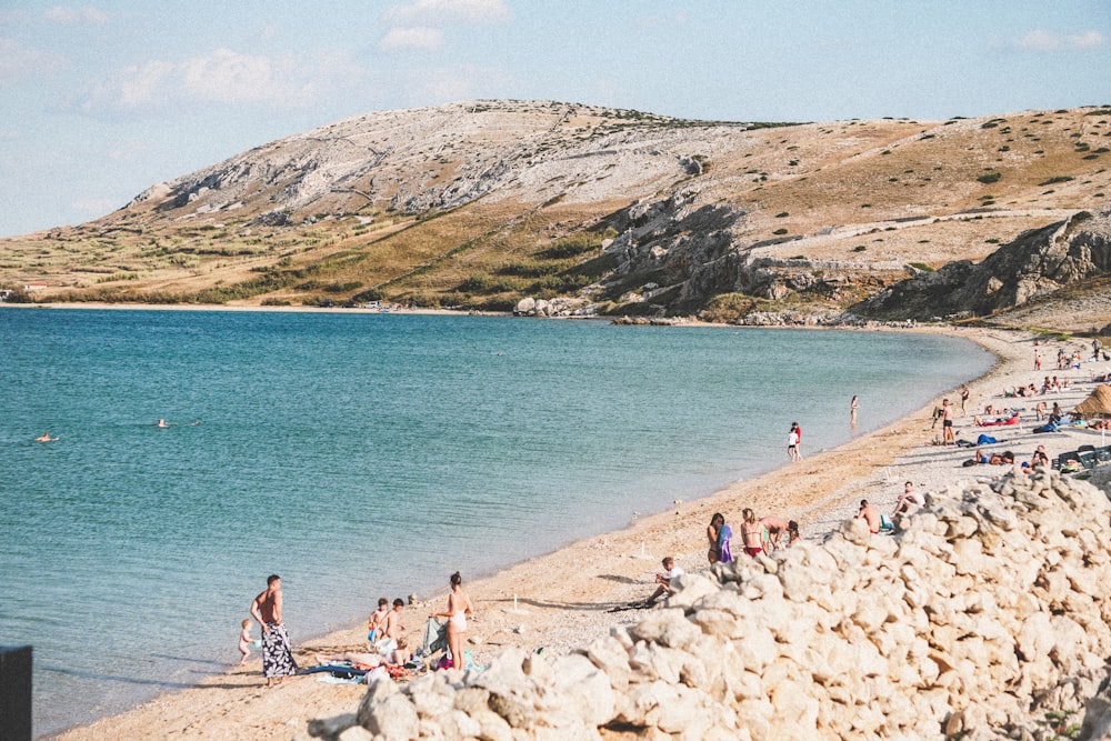 people on beach during daytime