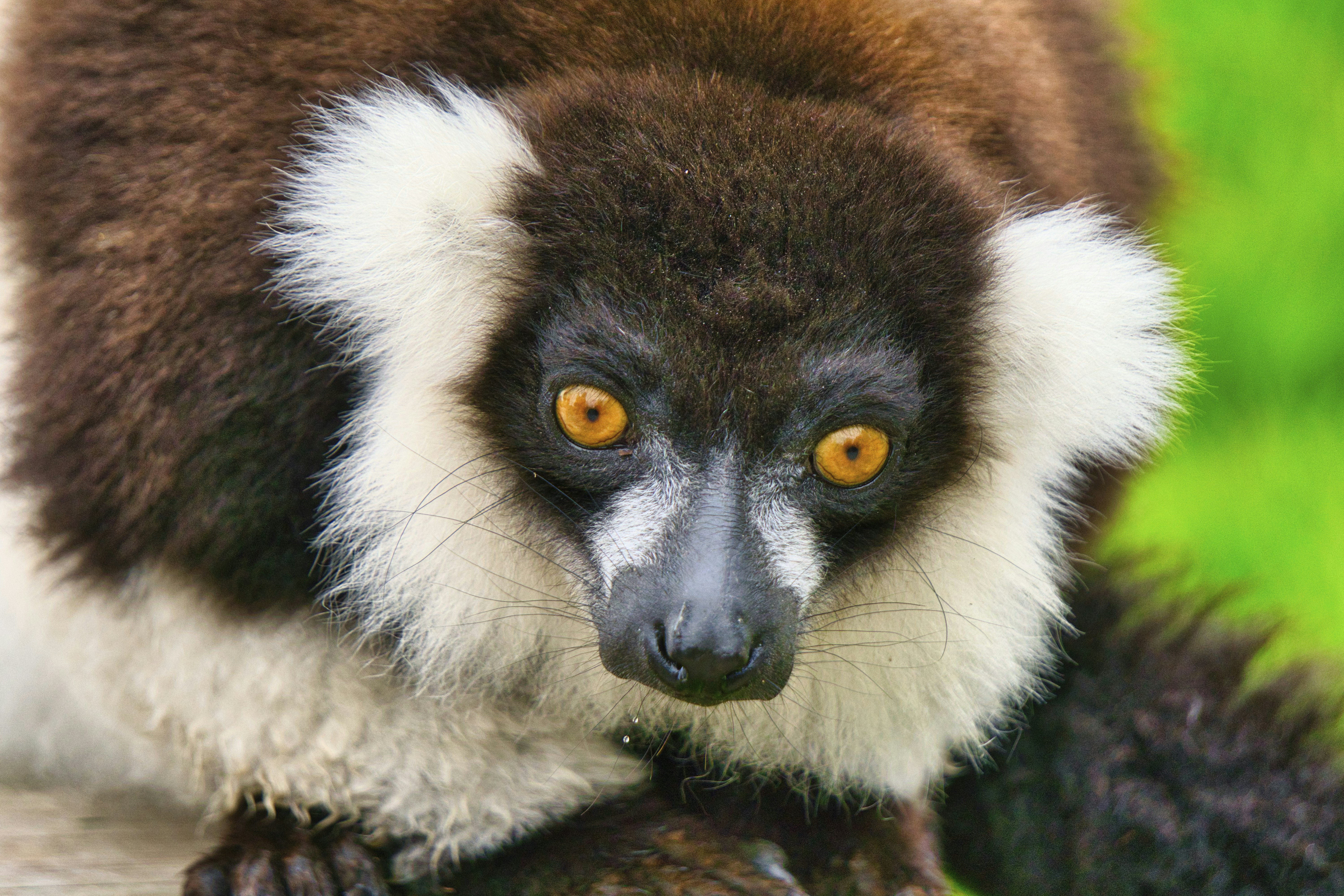 Photo by iankelsall1