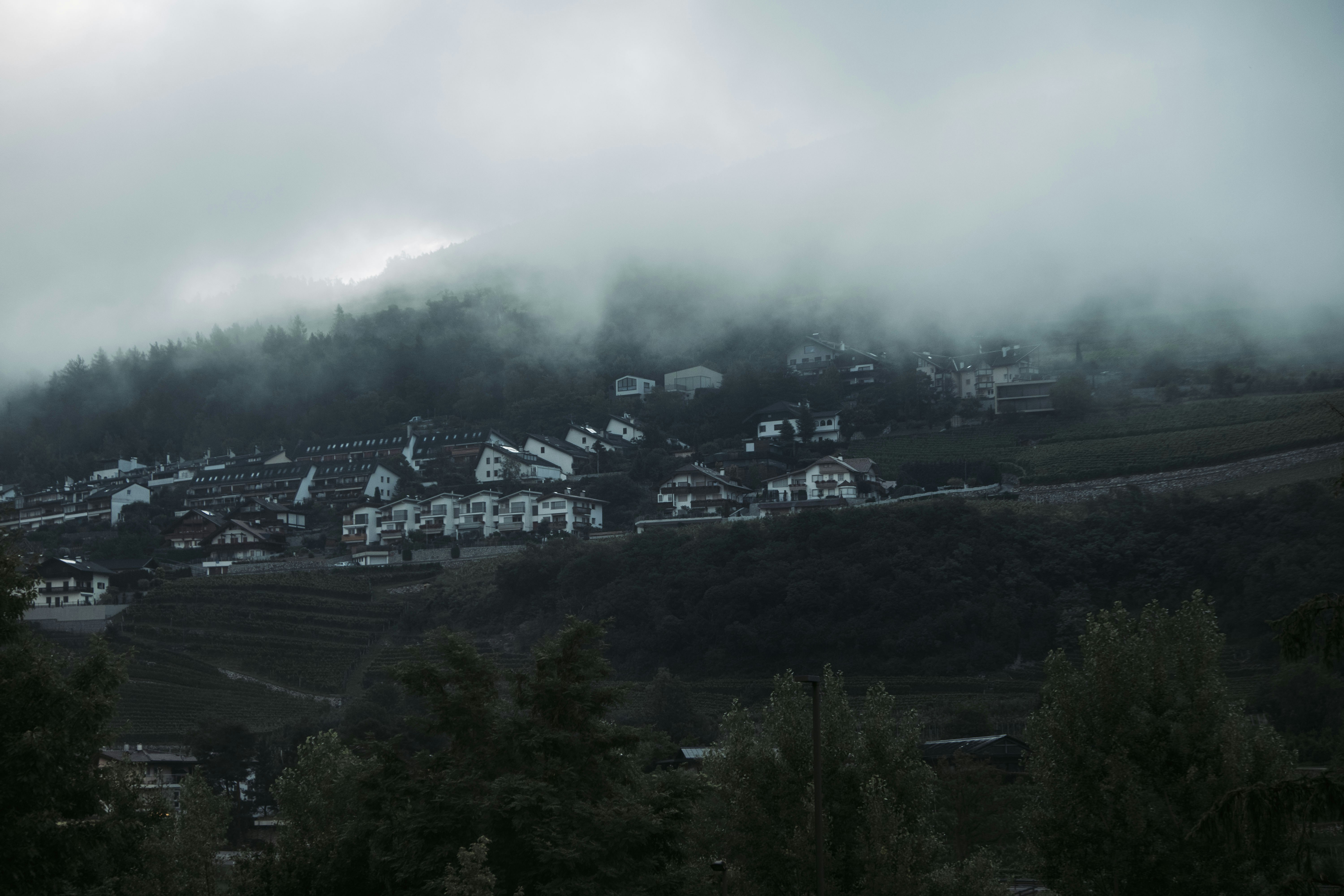 Photo by moritz_photography