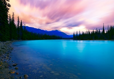 body of water near green trees under blue sky during daytime stunning teams background