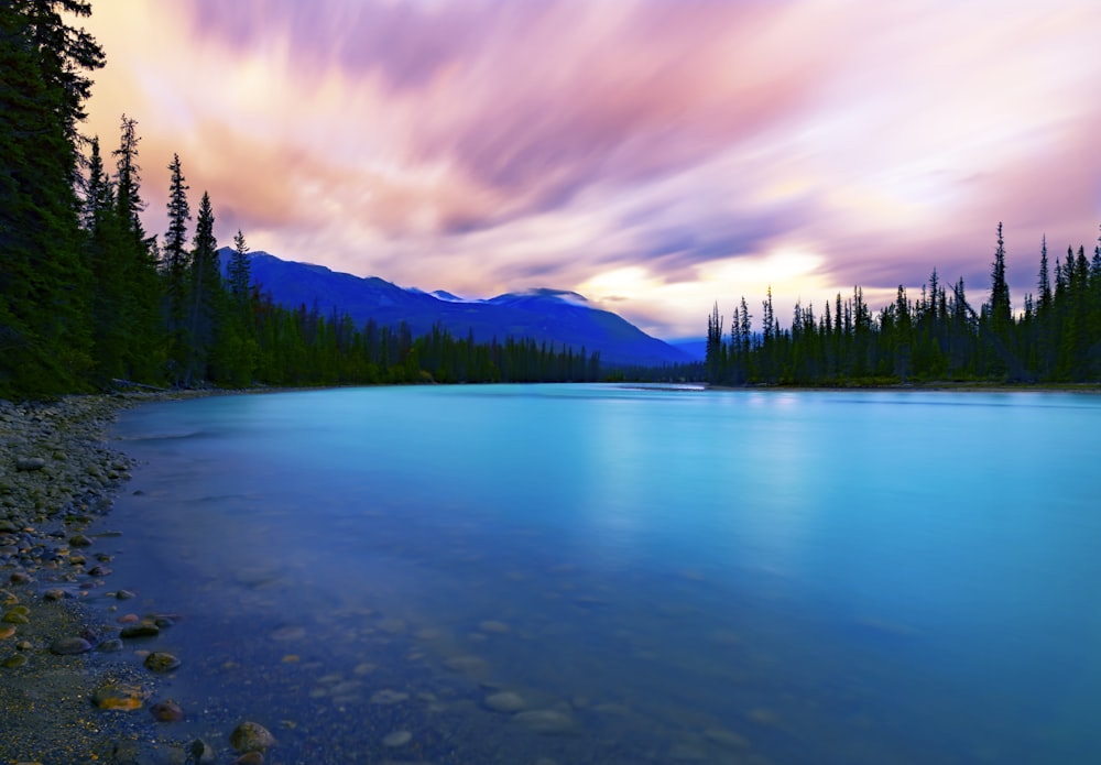 body of water near green trees under blue sky during daytime