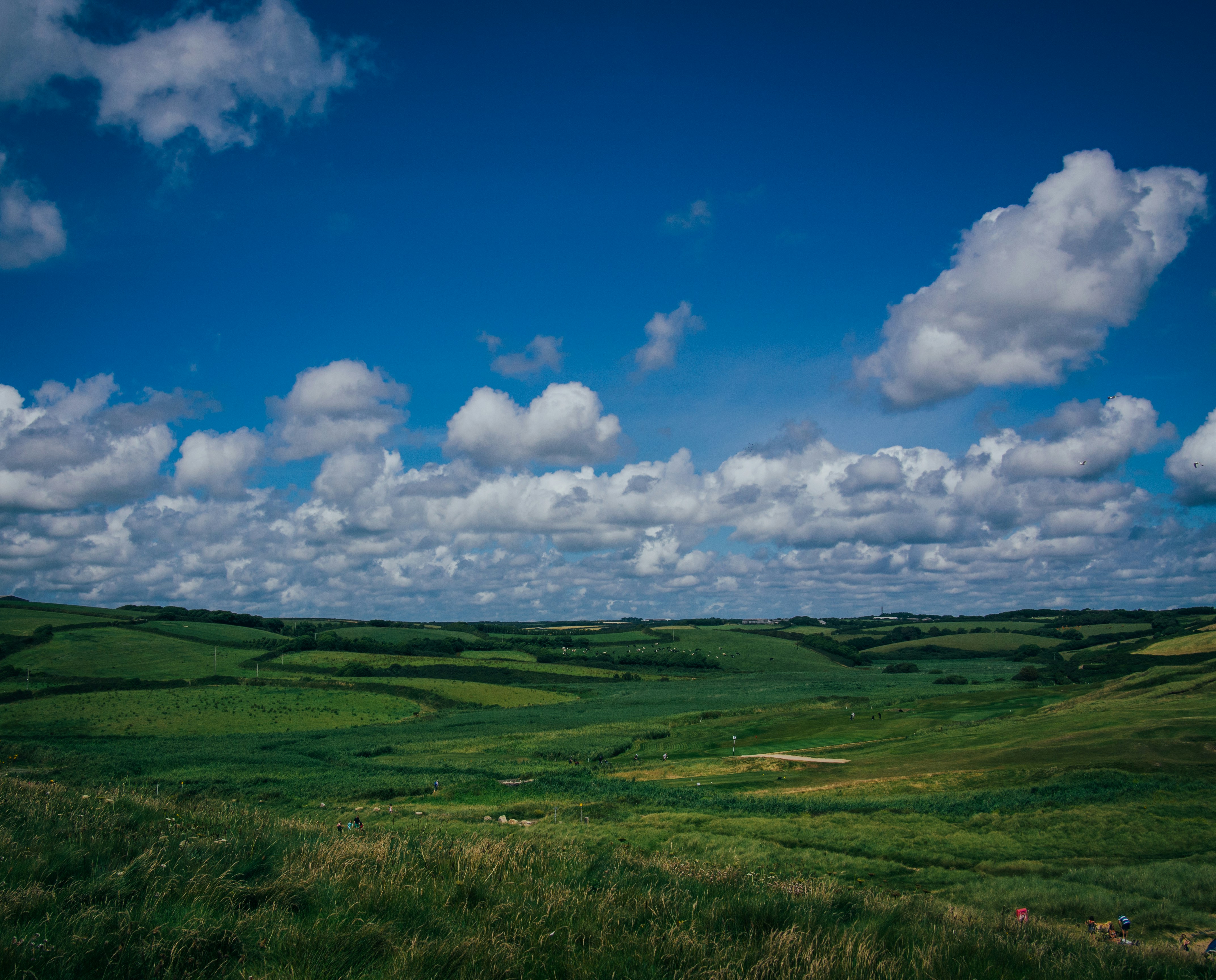 Photo by gregwillson