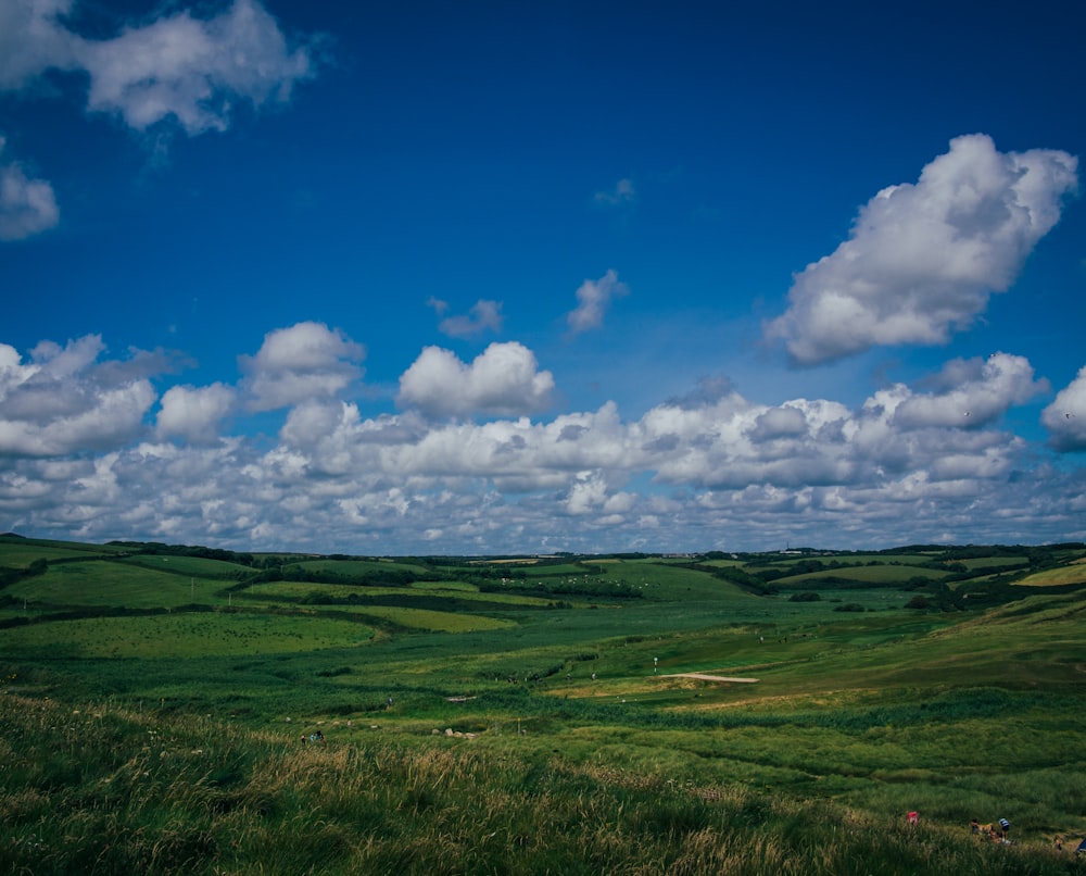 green grass field under blue sky and white clouds during daytime