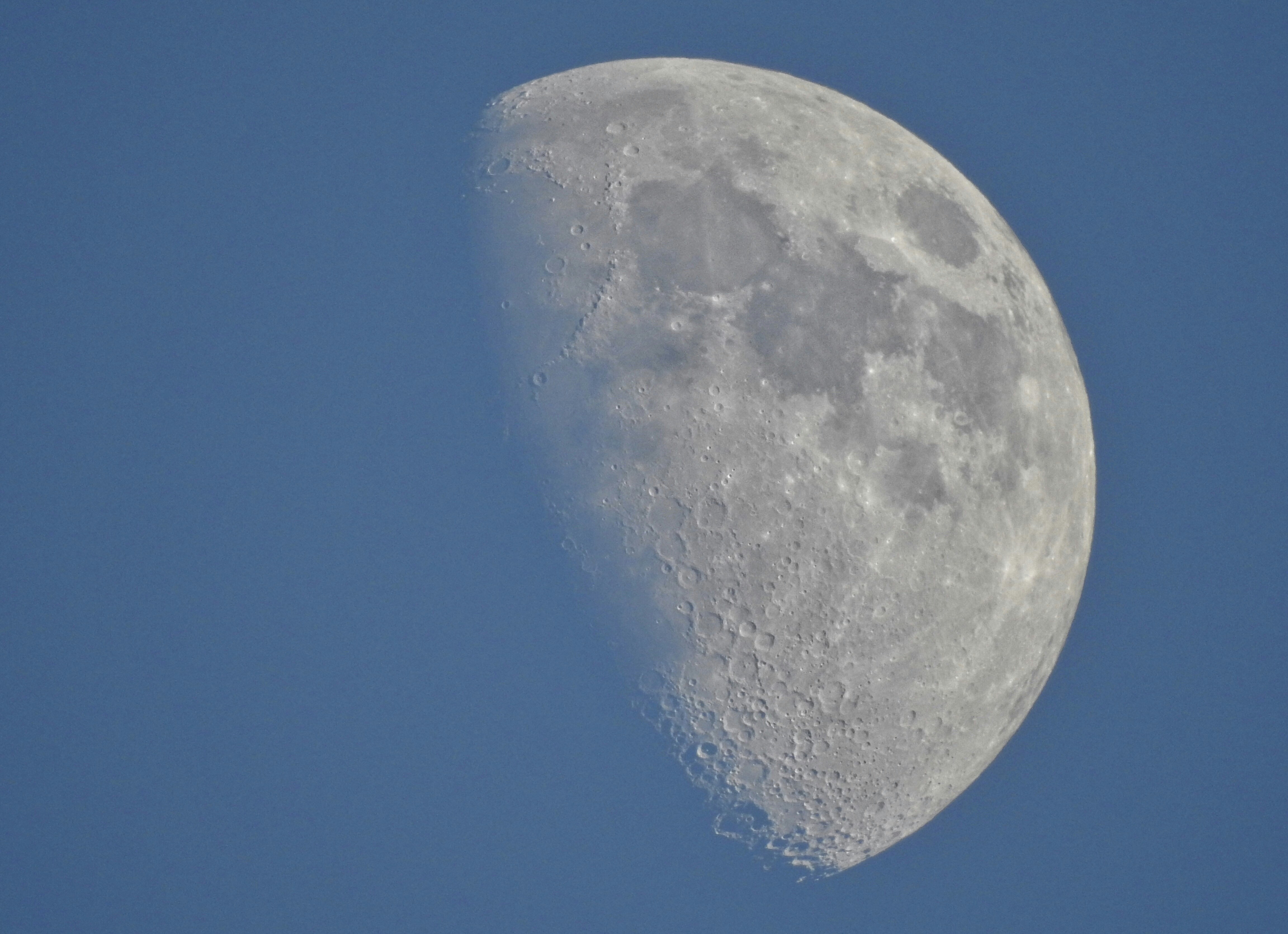 Unicly CryptoPunks Collection header image