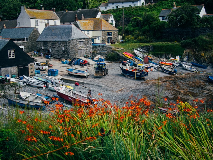 Cottage above Coverack harbour on the Lizard peninsula