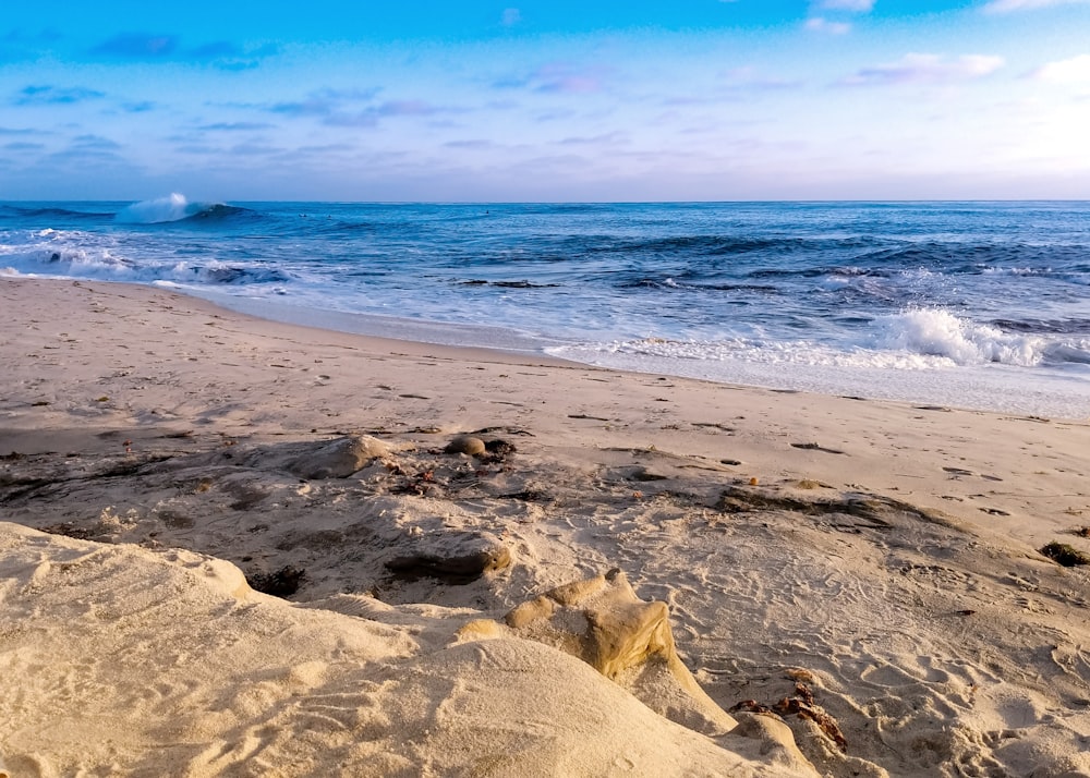 brown rocky shore under blue sky during daytime