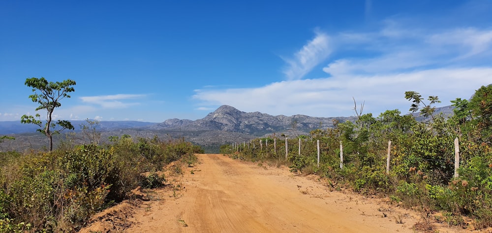 campo de grama verde perto da montanha sob o céu azul durante o dia