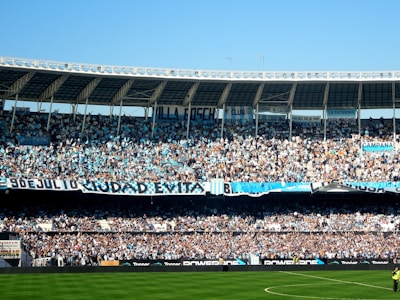 Fans in dark green and white cheering loudly from the bleachers during a home game.