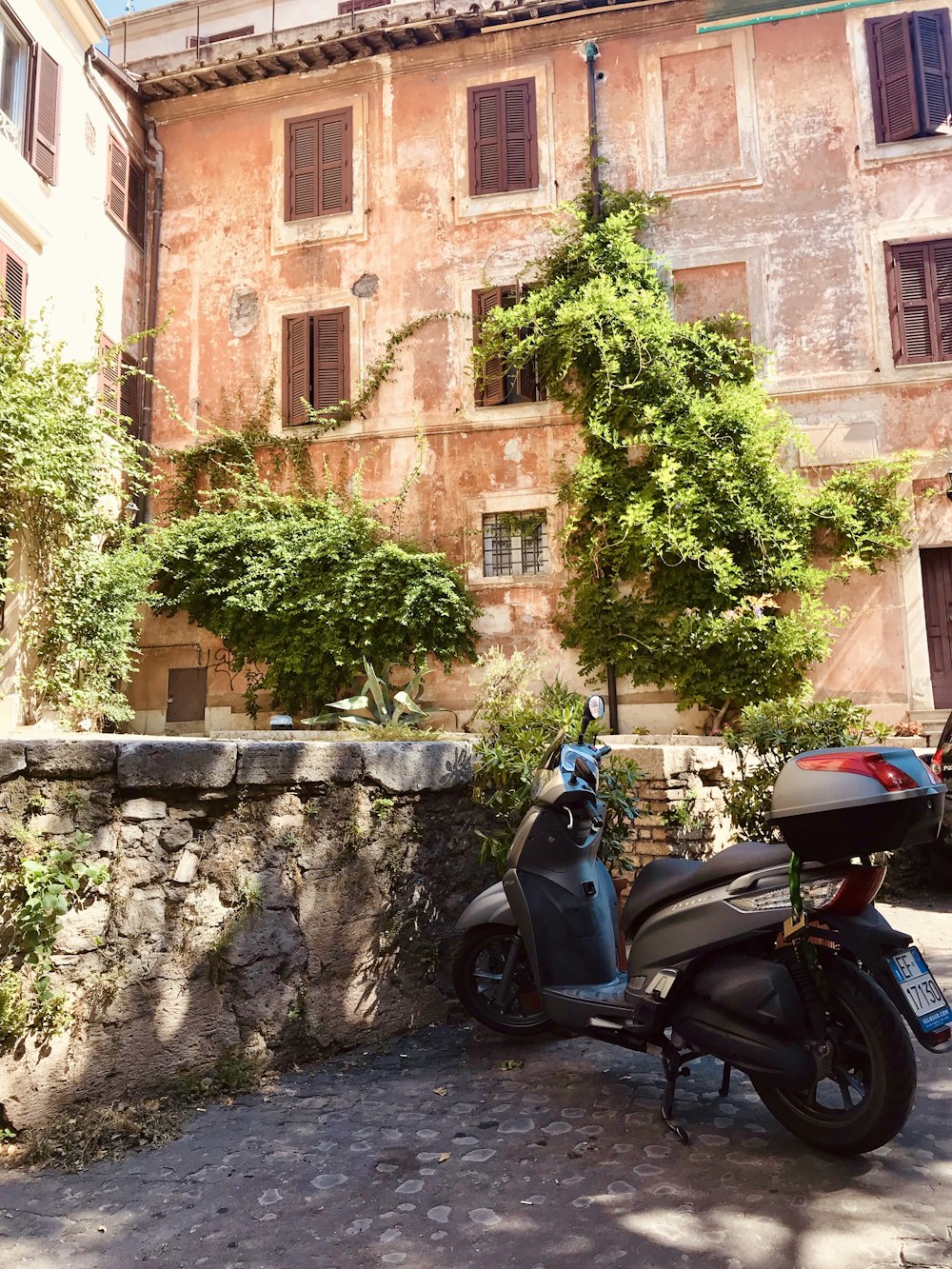 black and red motorcycle parked beside green tree during daytime