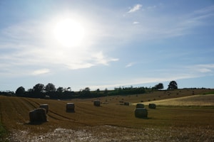 Pré-Secado Tifton