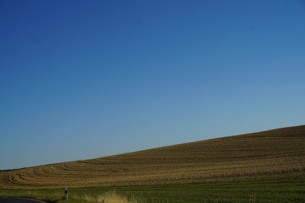 a person standing on the side of a road near a field