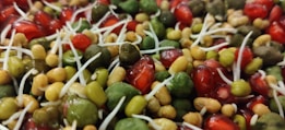A close-up view of a mixture of sprouted seeds and pomegranate seeds. The image features different sizes and shapes of green, red, and beige sprouts intertwined, with white sprout shoots emerging from some of the green and beige seeds.