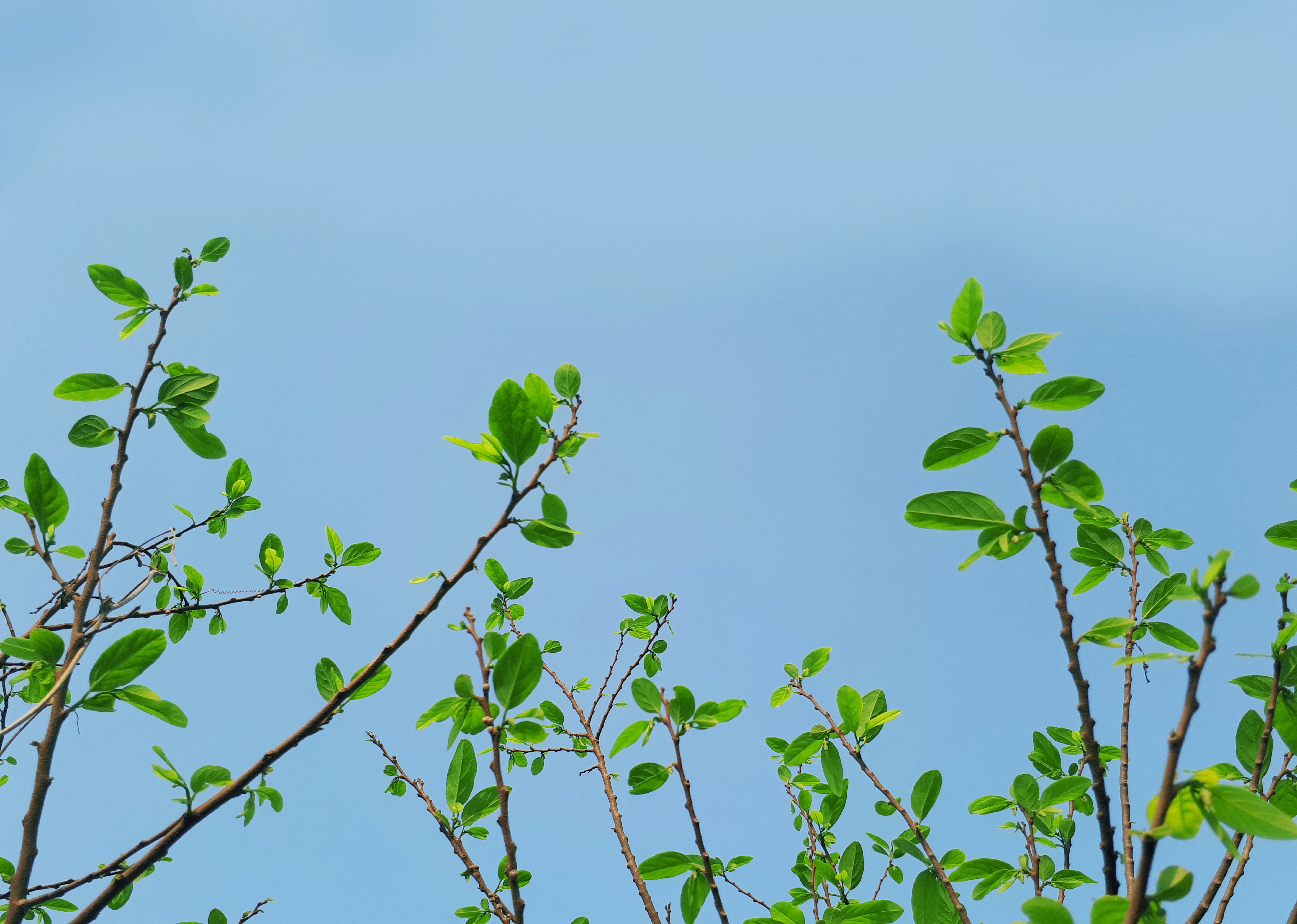 Photo by fouziaabida