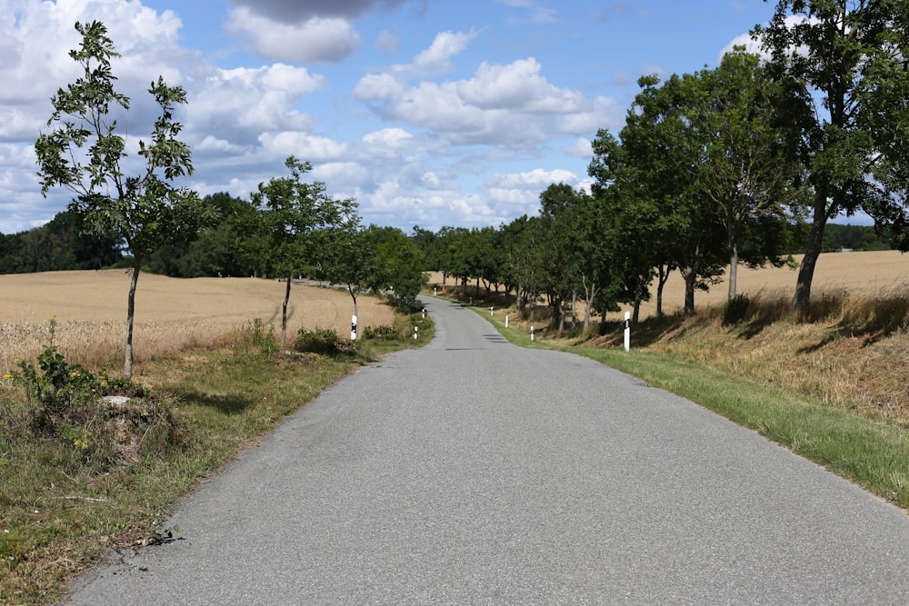 Graue Betonstraße zwischen grünen Bäumen unter blauem Himmel tagsüber