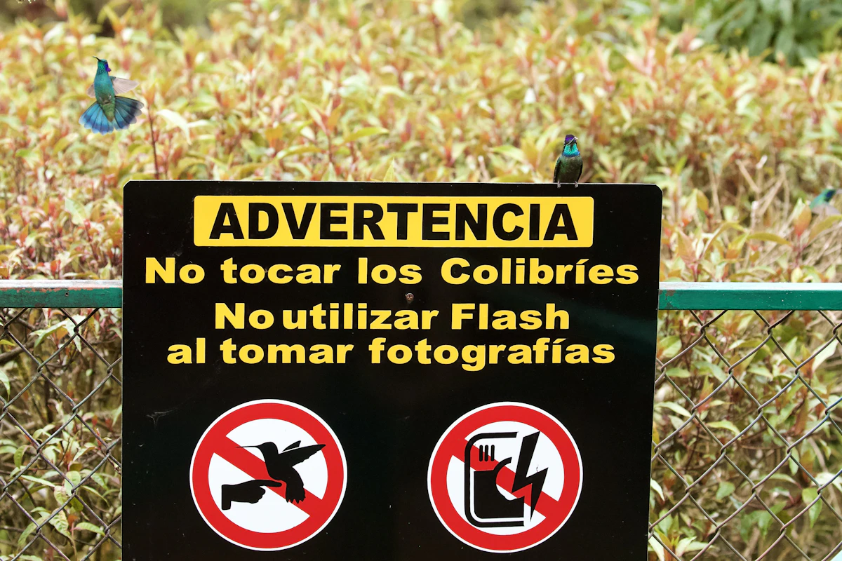 Anuncio de alquiler en una app con una foto generada con inteligencia artificial
