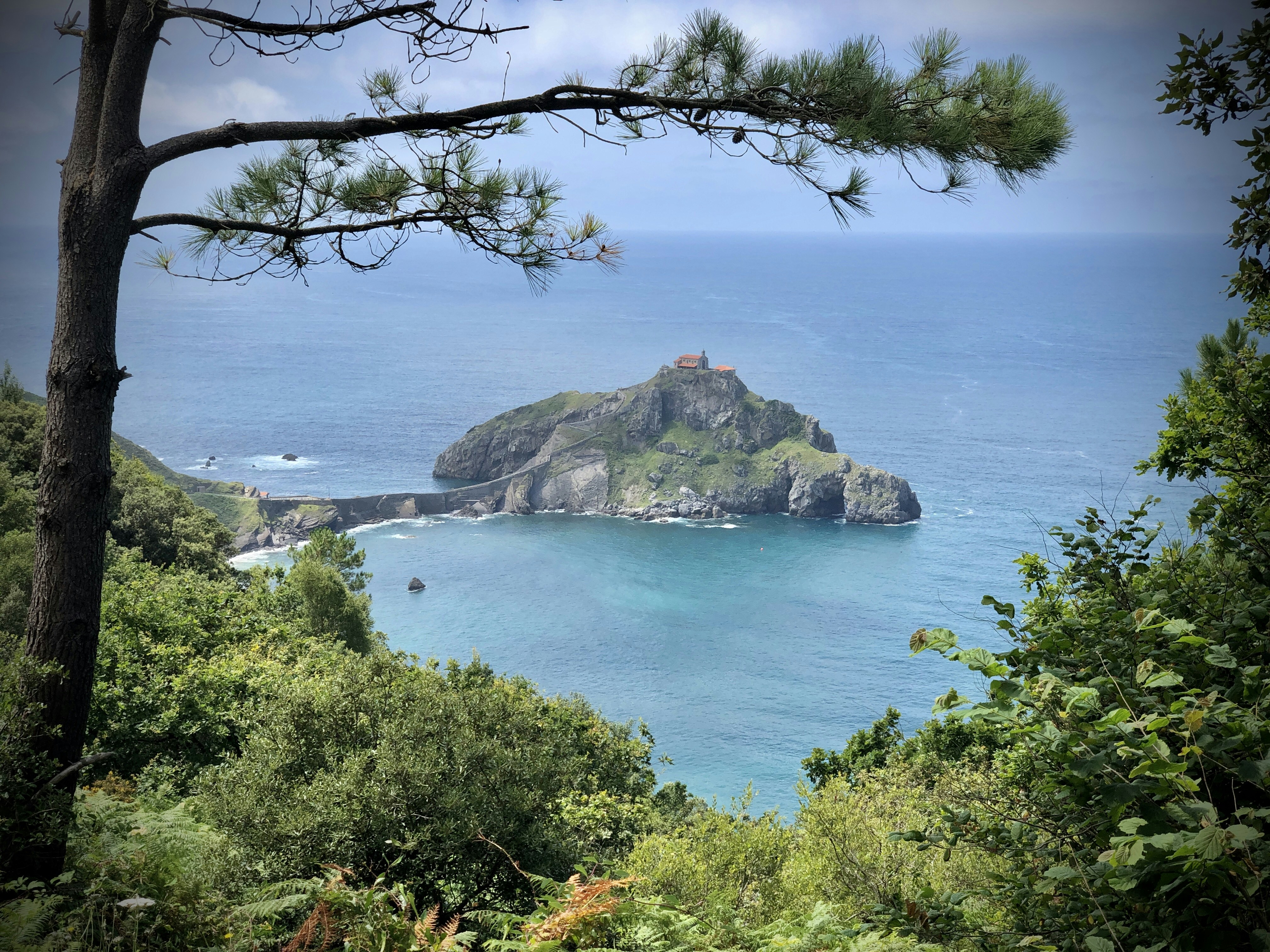 Photo by mondogenerator