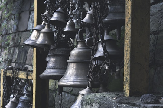 A group of metallic bells of different sizes are hanging from chains, mounted on a wooden frame and arranged in front of a stone wall covered with some greenery.