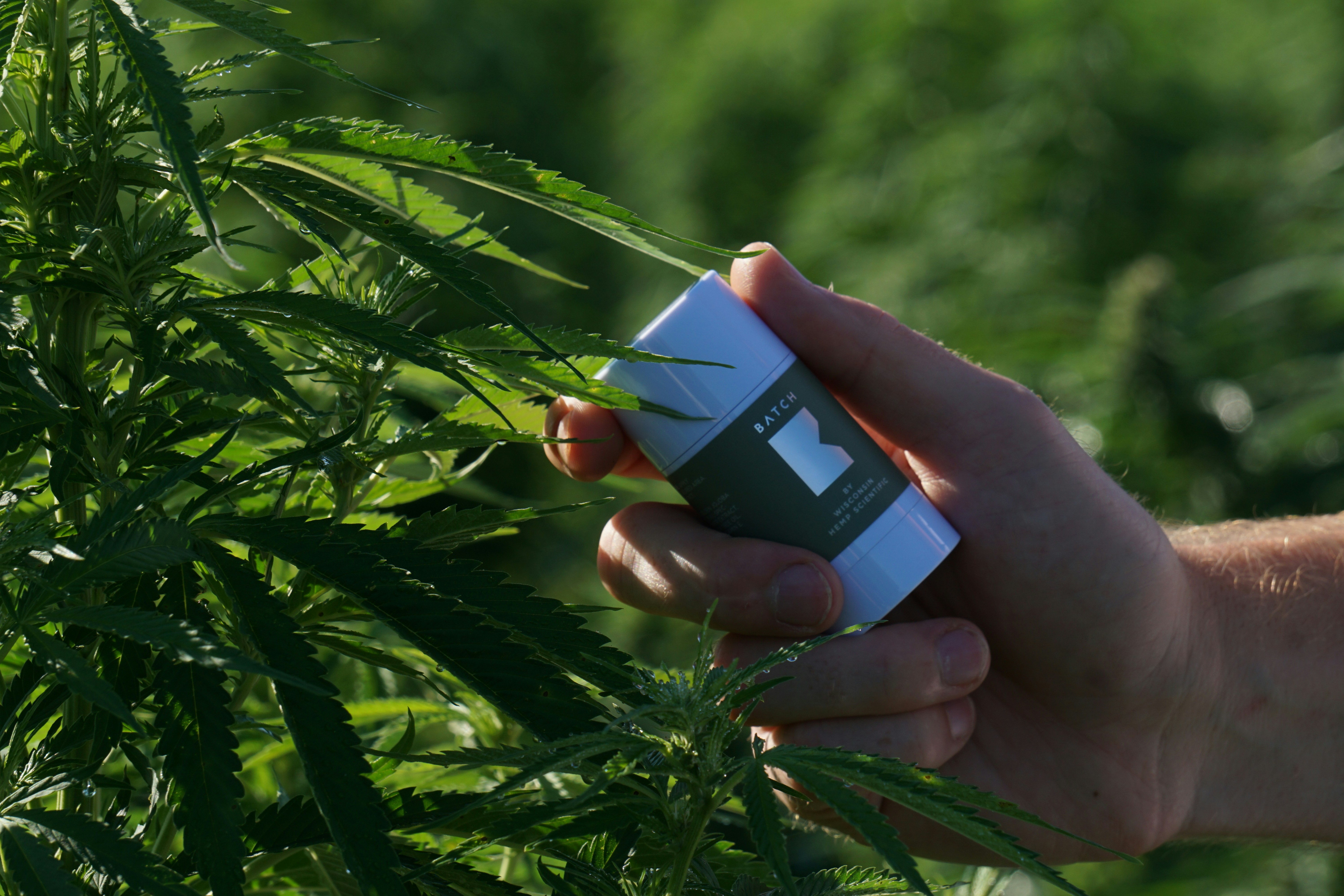 black and brown leather padded tub sofa