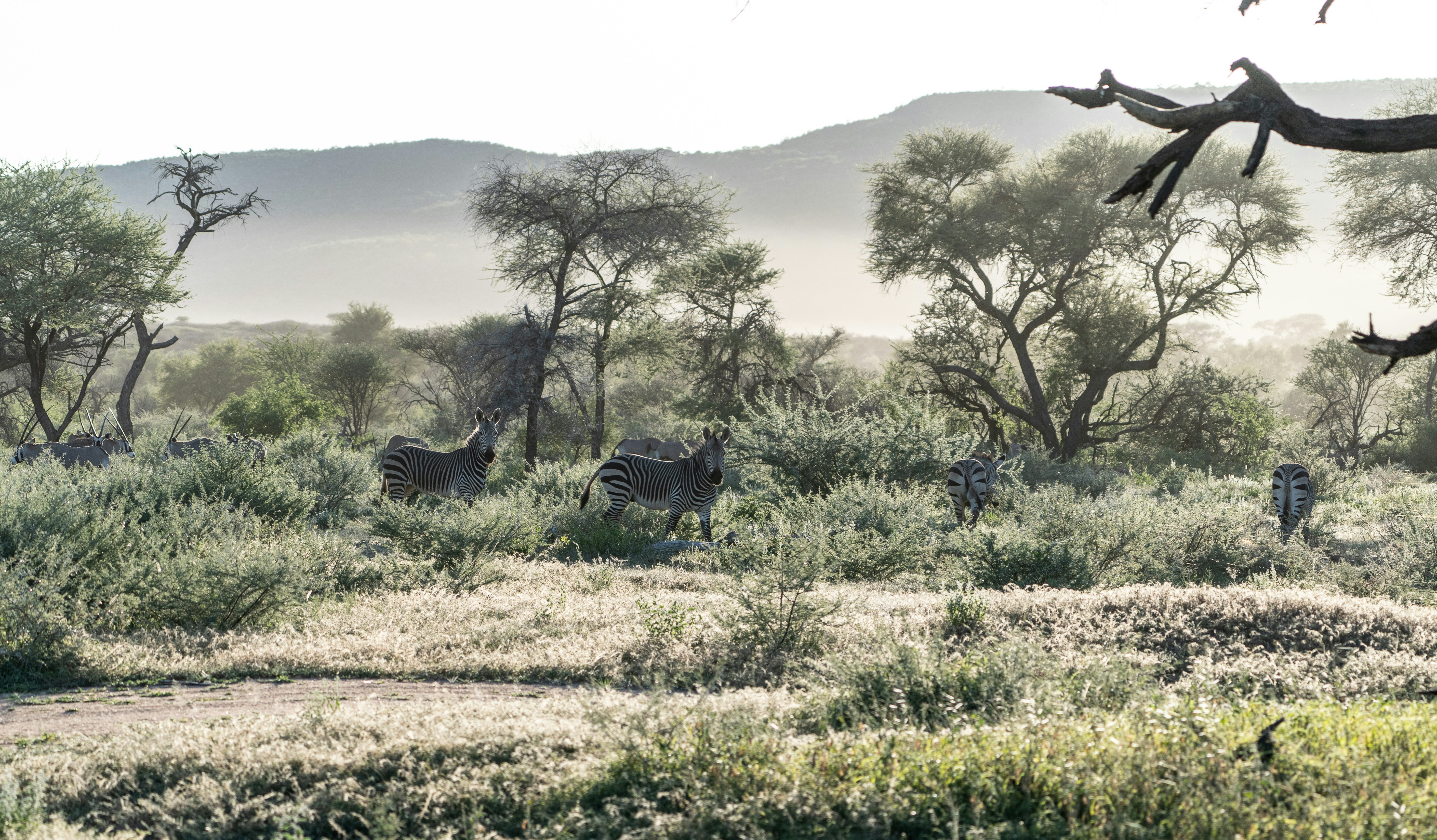 Photo by eelco_bohtlingk