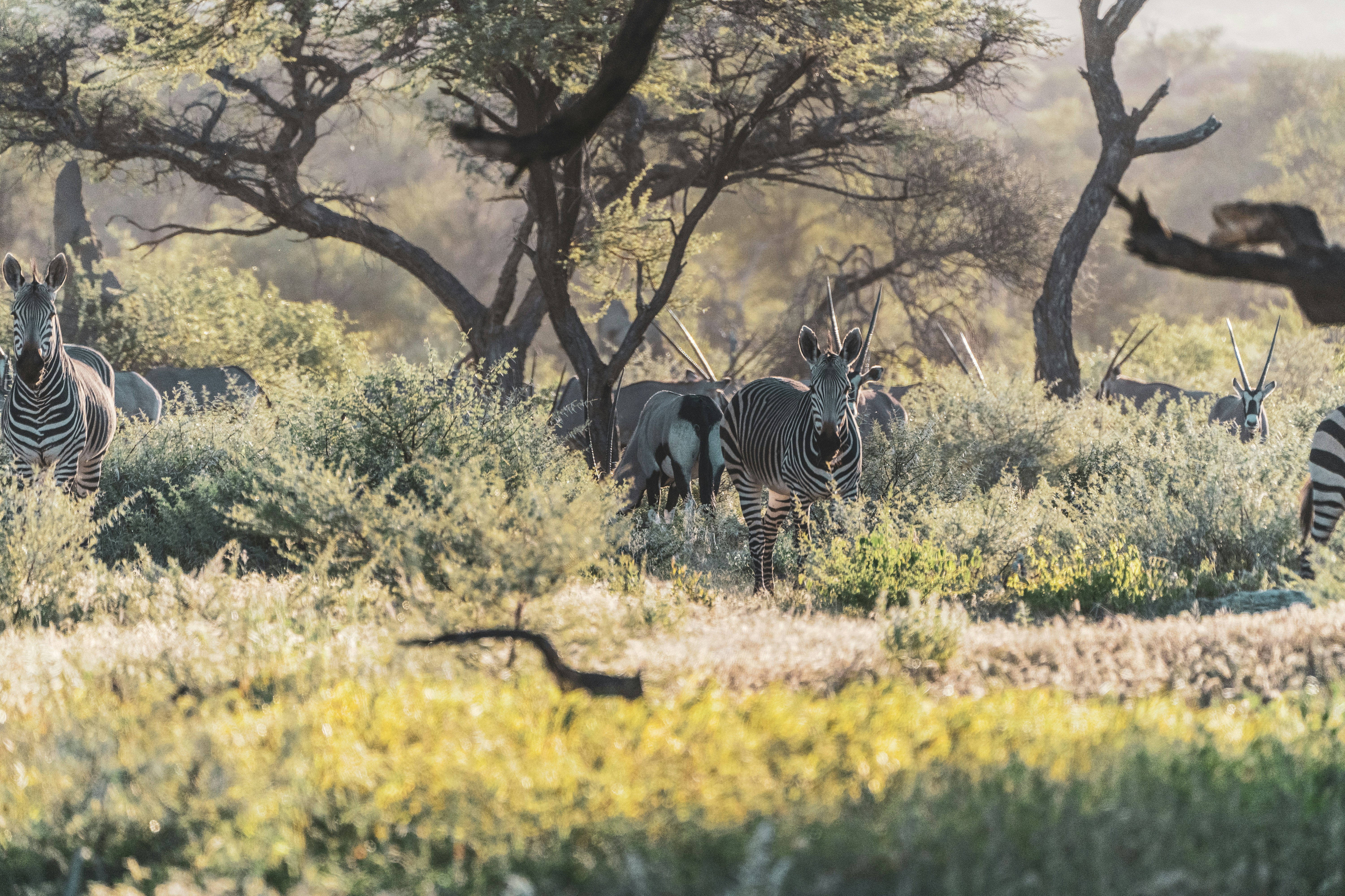 Photo by eelco_bohtlingk