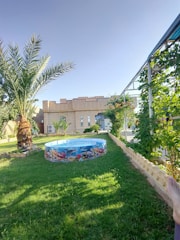 A backyard scene featuring a small, round inflatable pool with colorful underwater designs on the side. There is lush green grass surrounding the pool, and a tall palm tree to the left. A beige building is in the background, and there are various other plants and greenery around the area. The sky is clear and blue, indicating a sunny day. A person's feet are visible in the lower right corner of the image, suggesting someone relaxing outdoors.