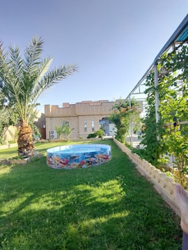 A backyard scene featuring a small, round inflatable pool with colorful underwater designs on the side. There is lush green grass surrounding the pool, and a tall palm tree to the left. A beige building is in the background, and there are various other plants and greenery around the area. The sky is clear and blue, indicating a sunny day. A person's feet are visible in the lower right corner of the image, suggesting someone relaxing outdoors.
