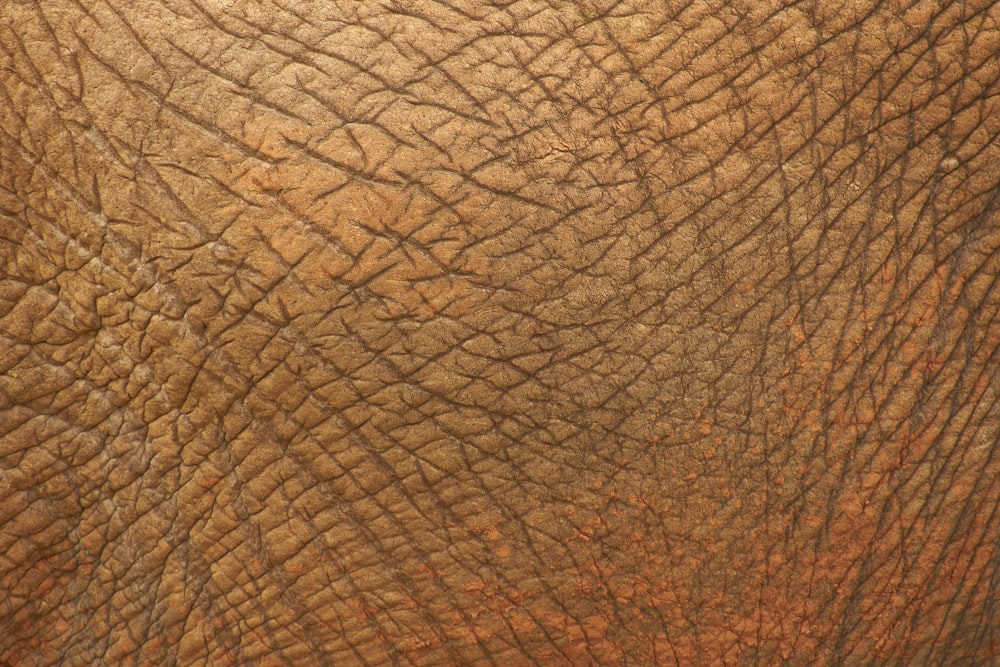 brown textile in close up photography