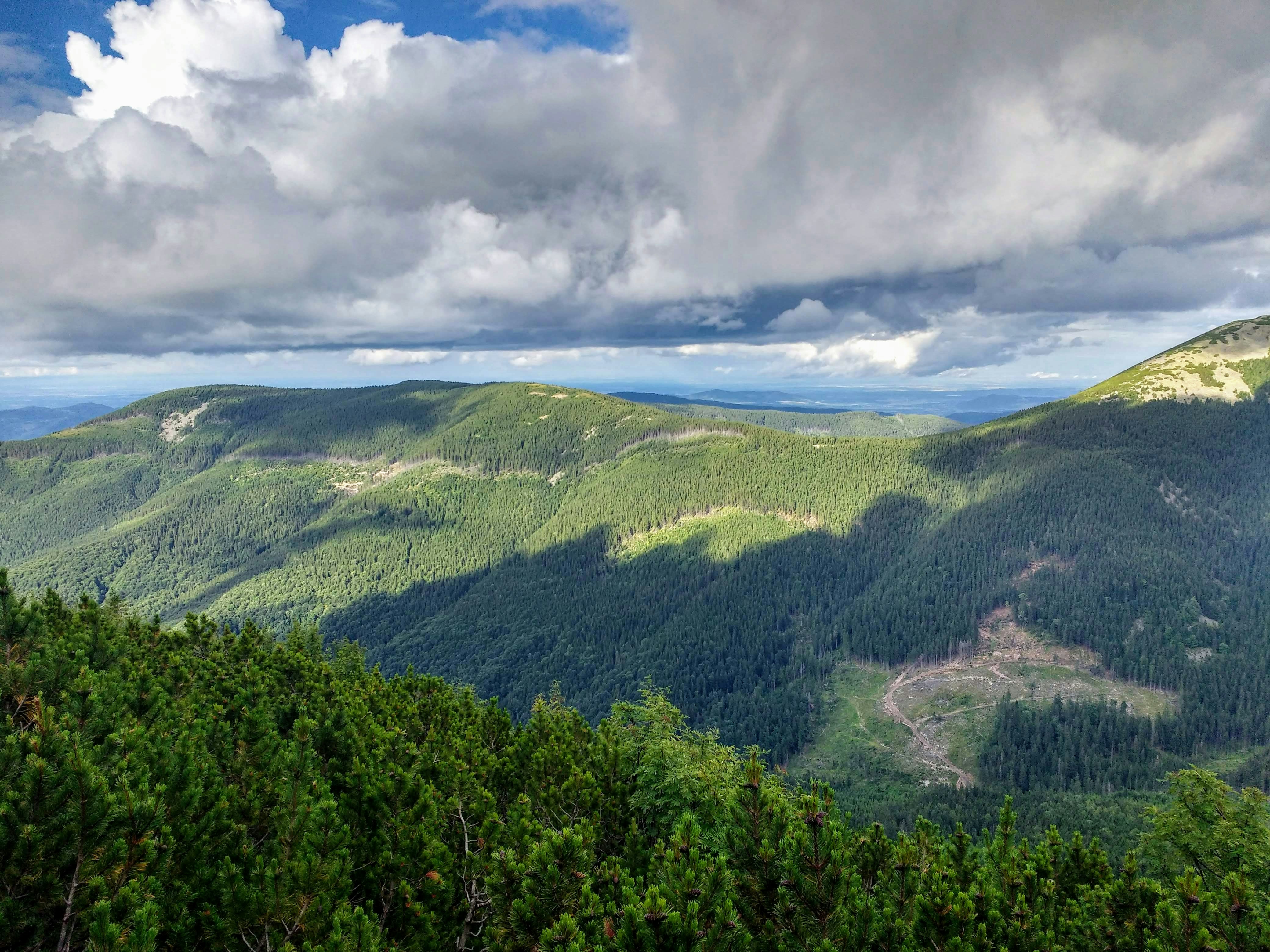 Photo by danielfilatov