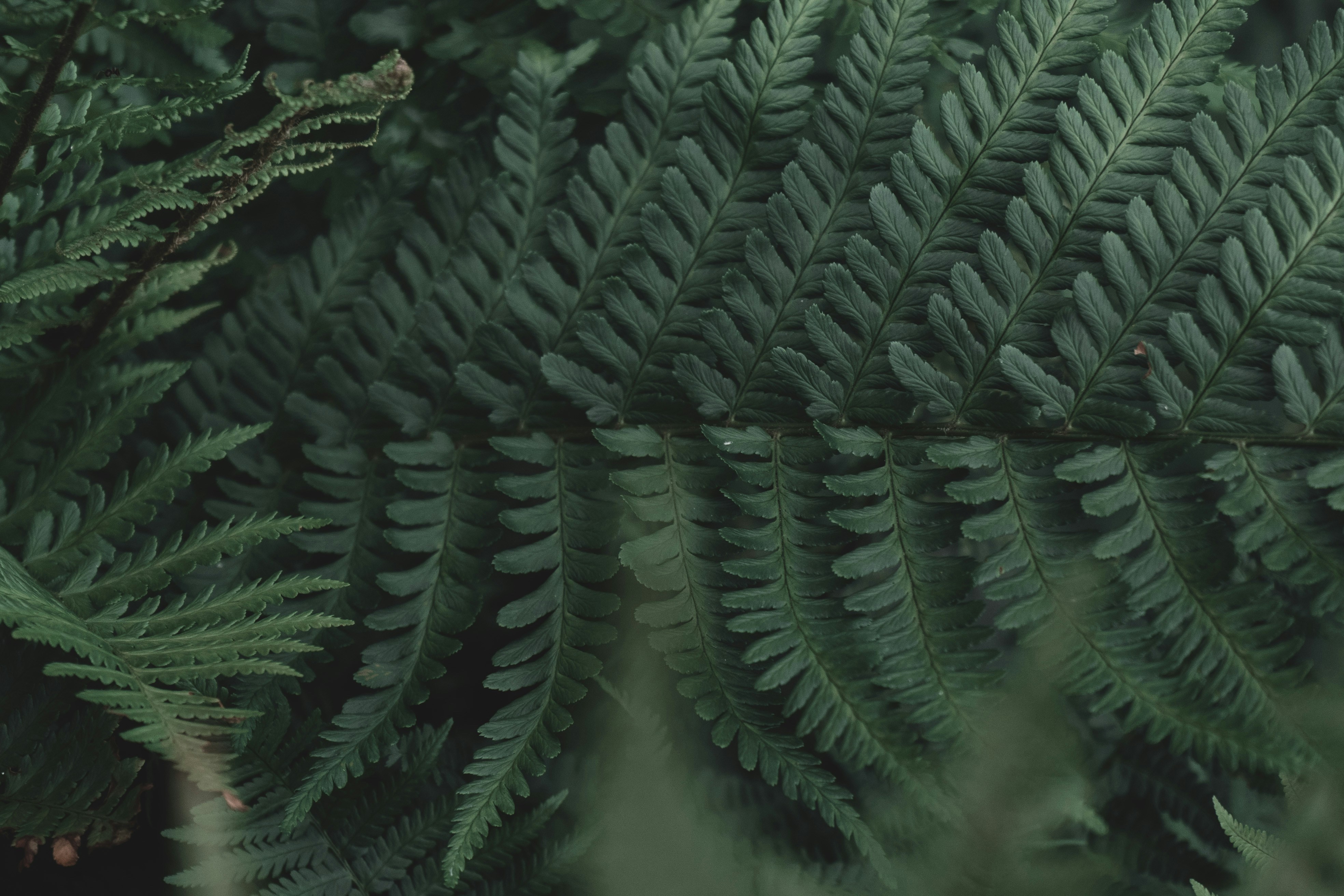 Photo by maxmuselmann