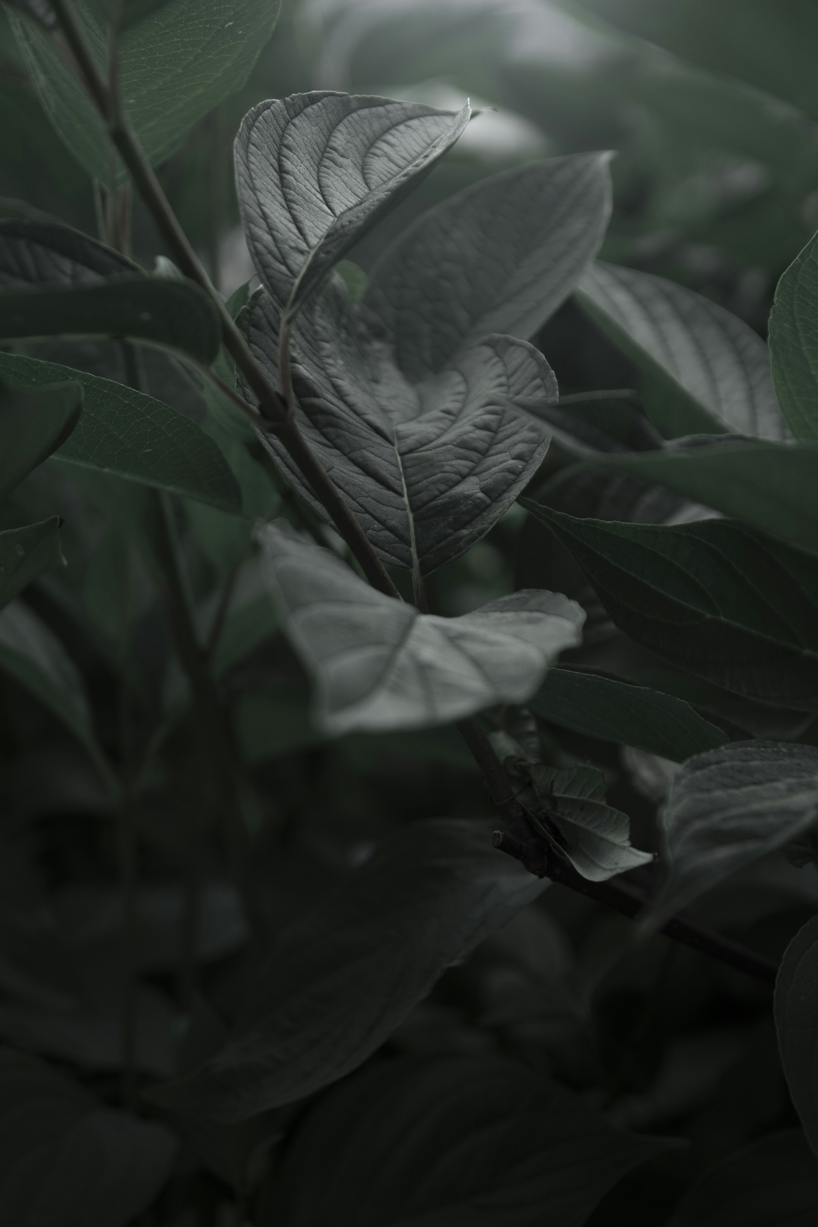 Photo by maxmuselmann