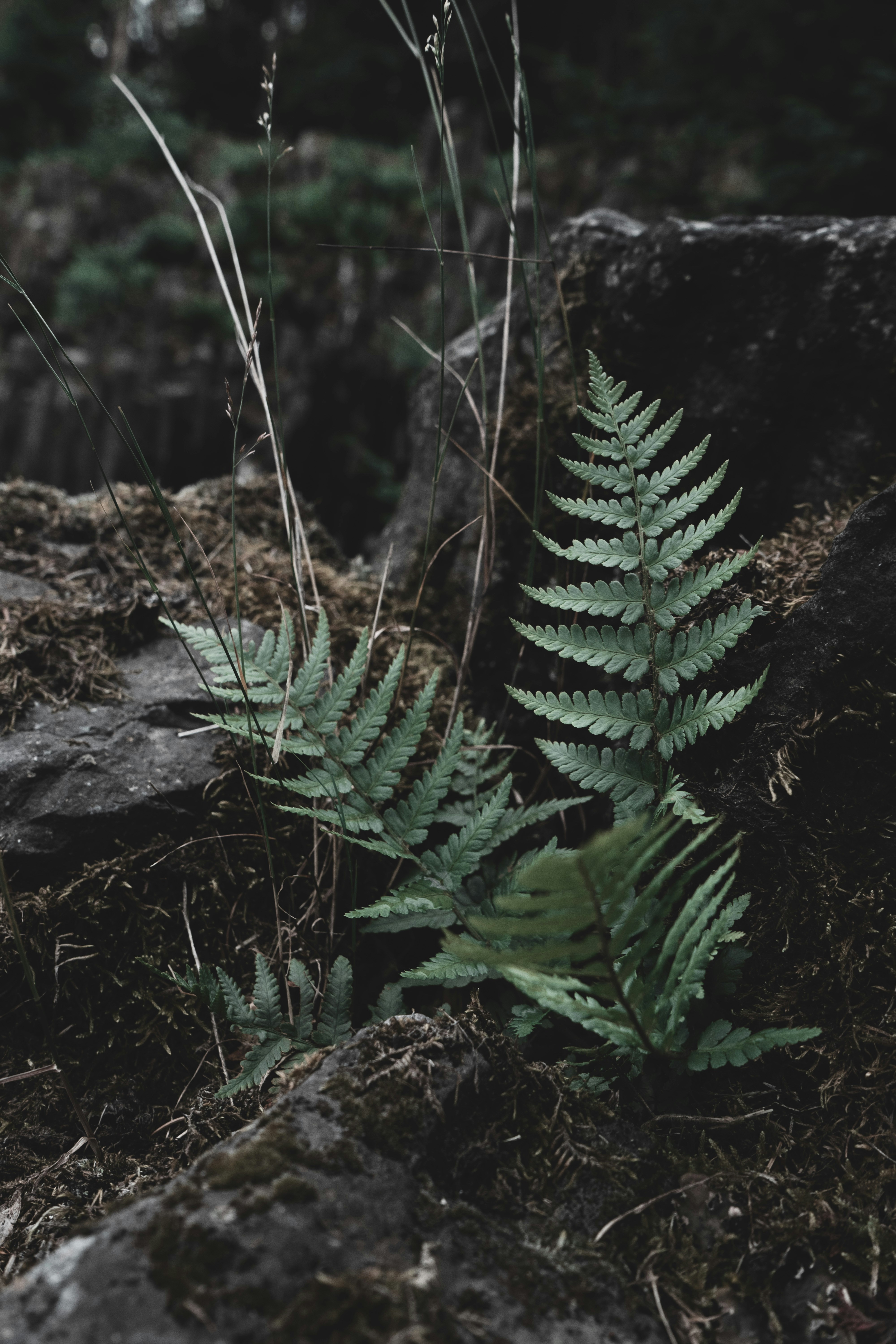 Photo by maxmuselmann