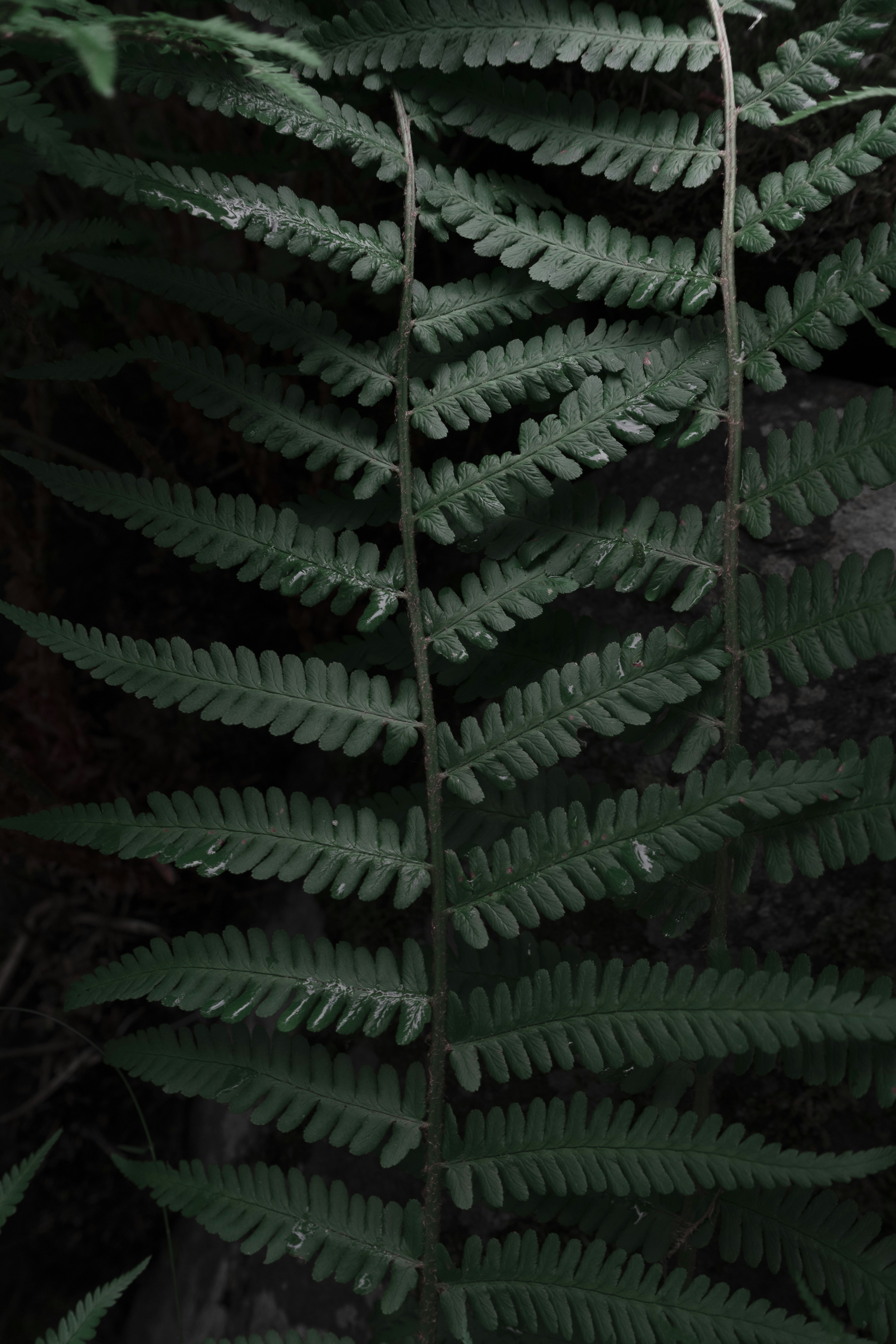 Photo by maxmuselmann