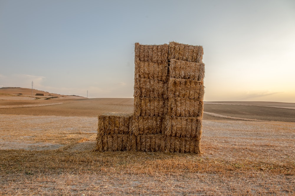 brown rolled hays on brown field during daytime