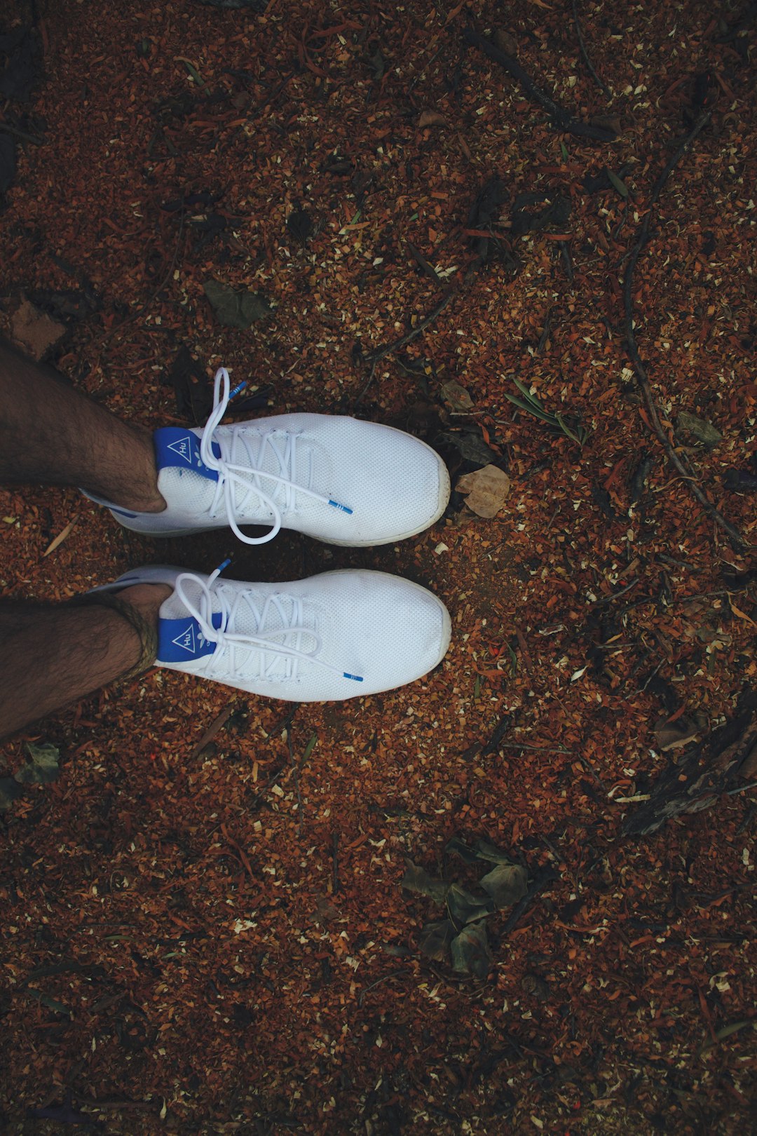 person wearing white and blue nike sneakers