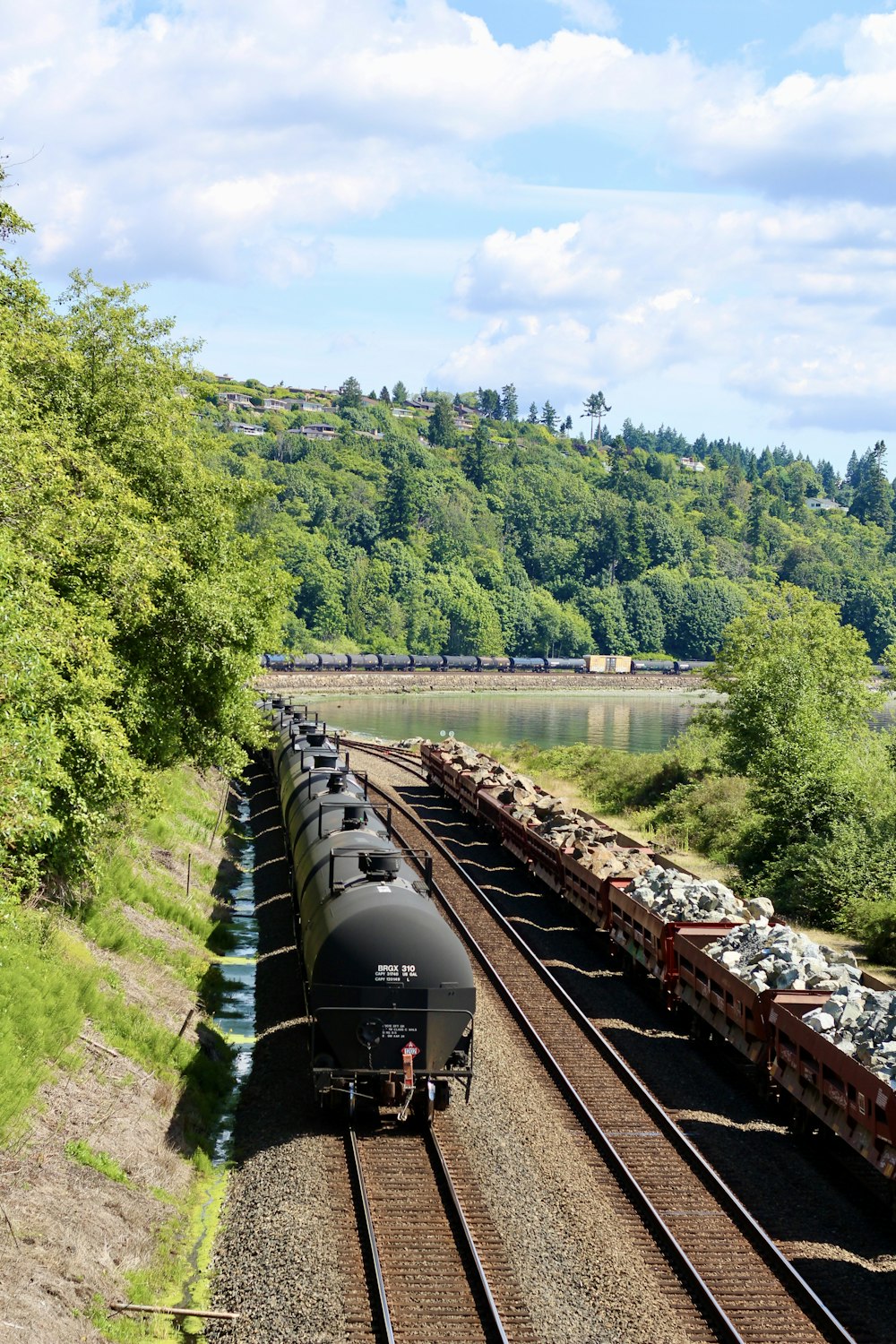 Schwarzer Zug auf der Schiene in der Nähe von grünen Bäumen tagsüber