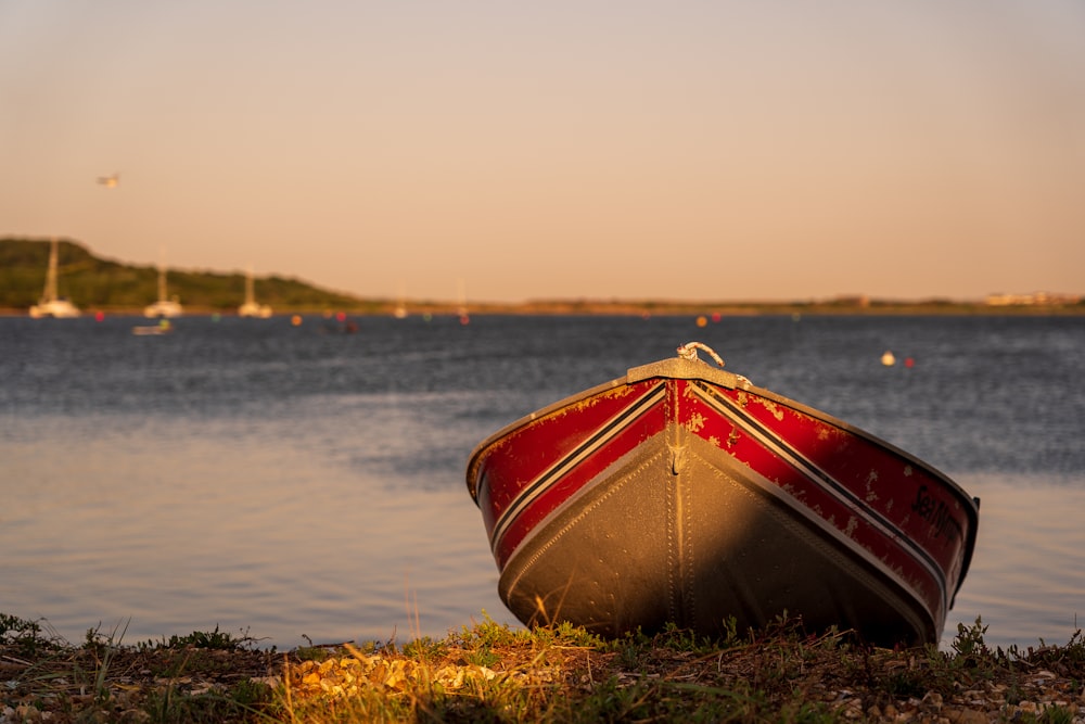 Bateau rouge et blanc sur l’herbe verte près du plan d’eau pendant la journée