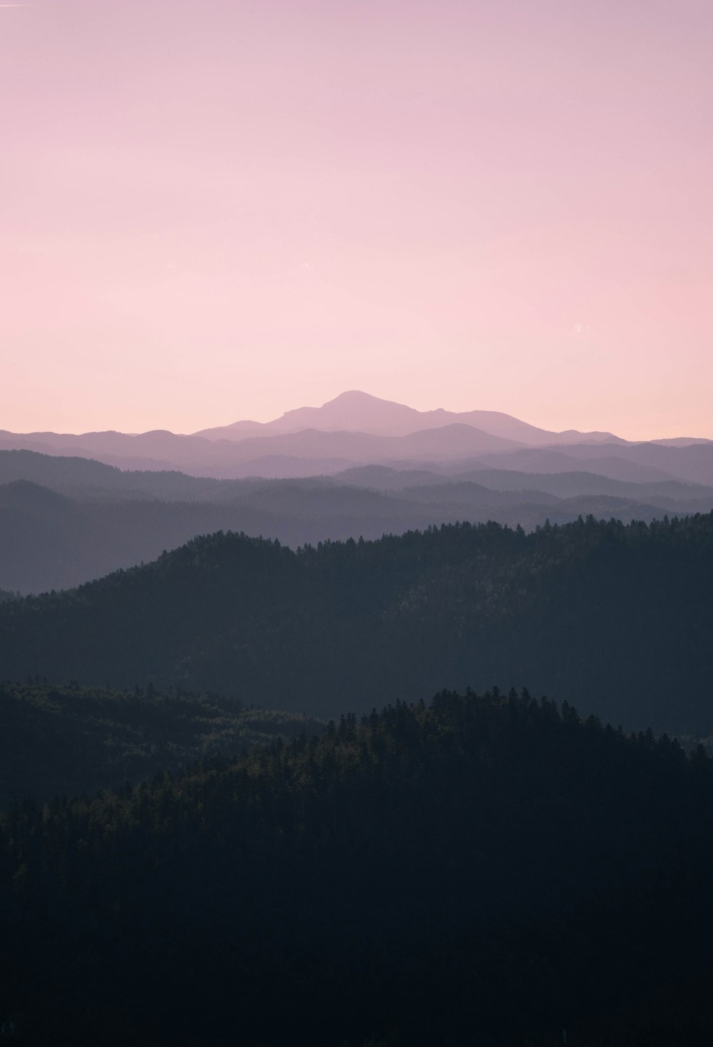 green trees on mountain during daytime