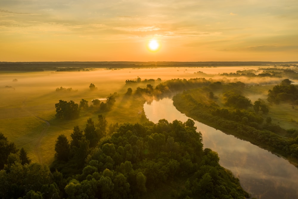 green trees near body of water during sunset