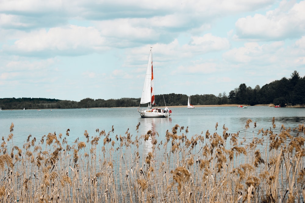 white sailboat on sea during daytime