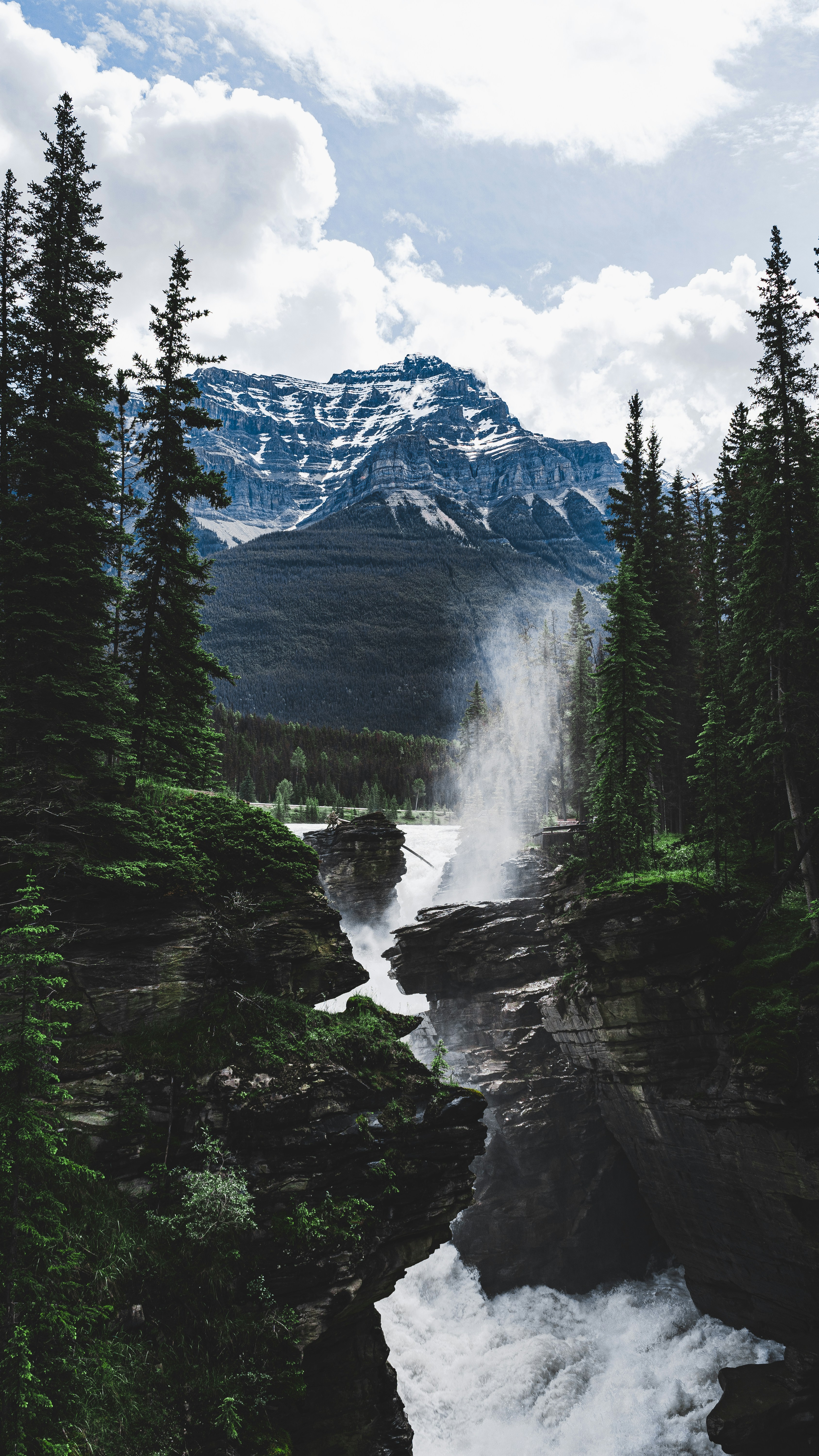 Photo by charliegallant