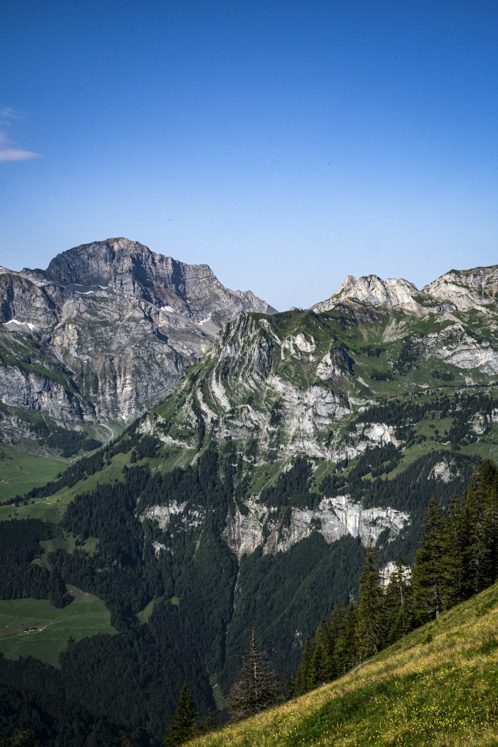 green trees on mountain under blue sky during daytime