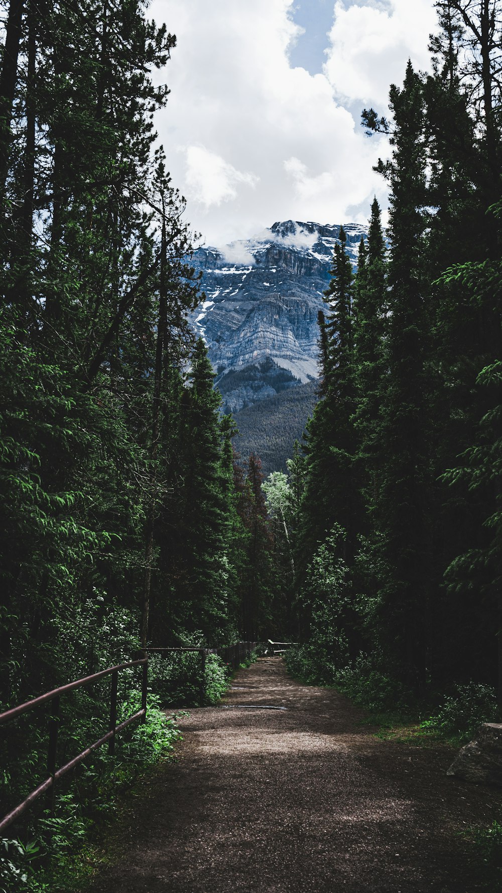 green trees near mountain during daytime