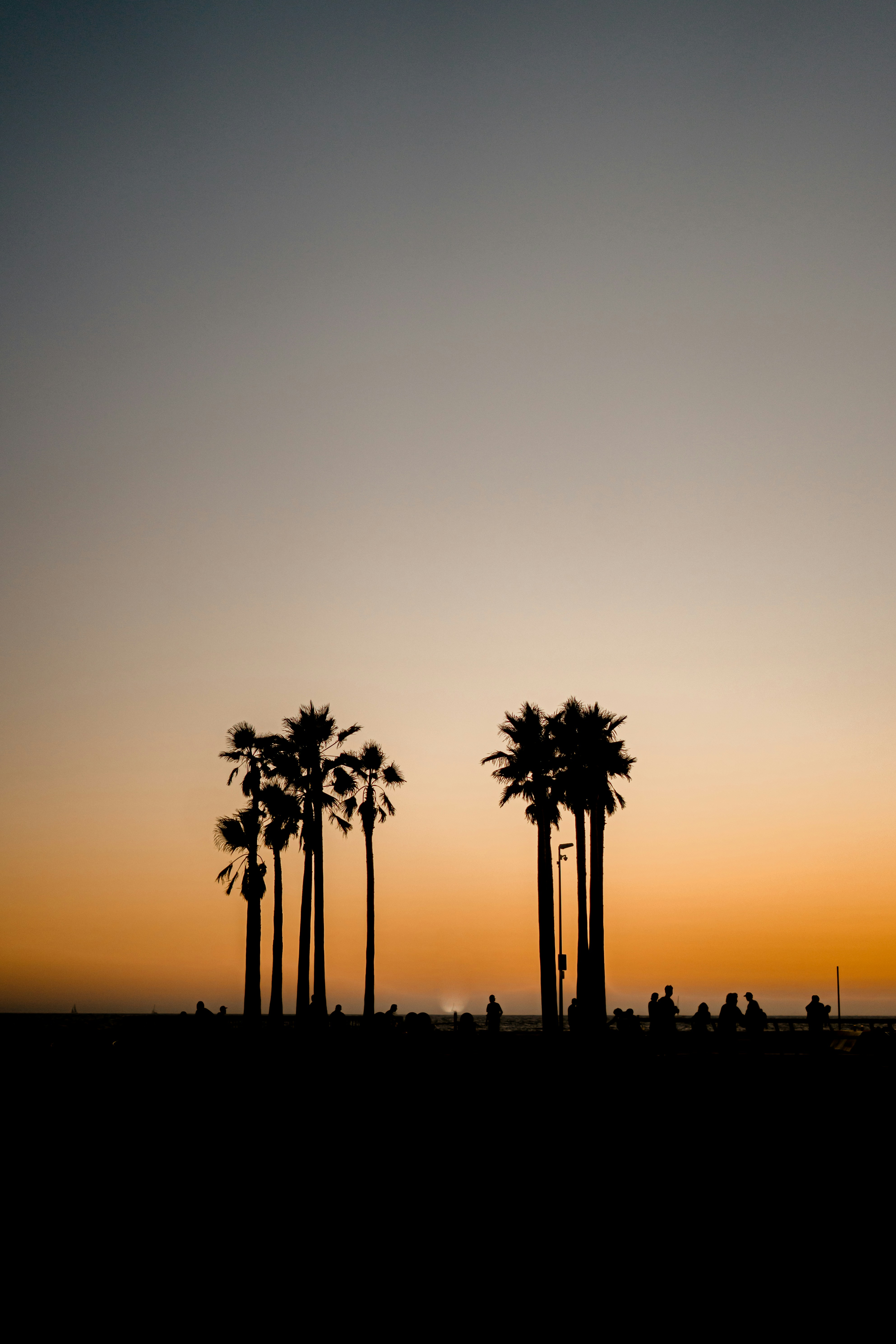 Photo by felipe_callado