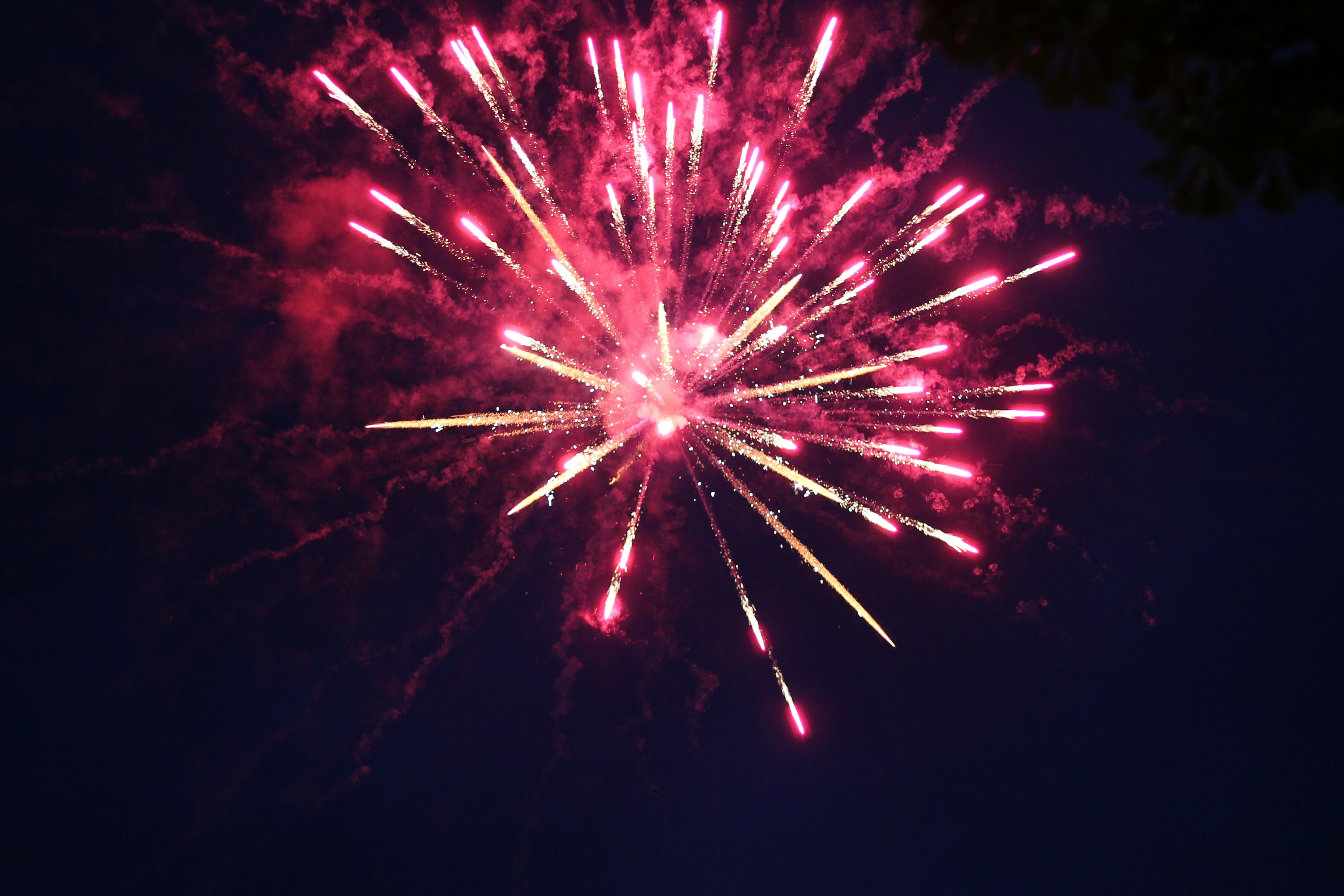 Photo by anisimova_le