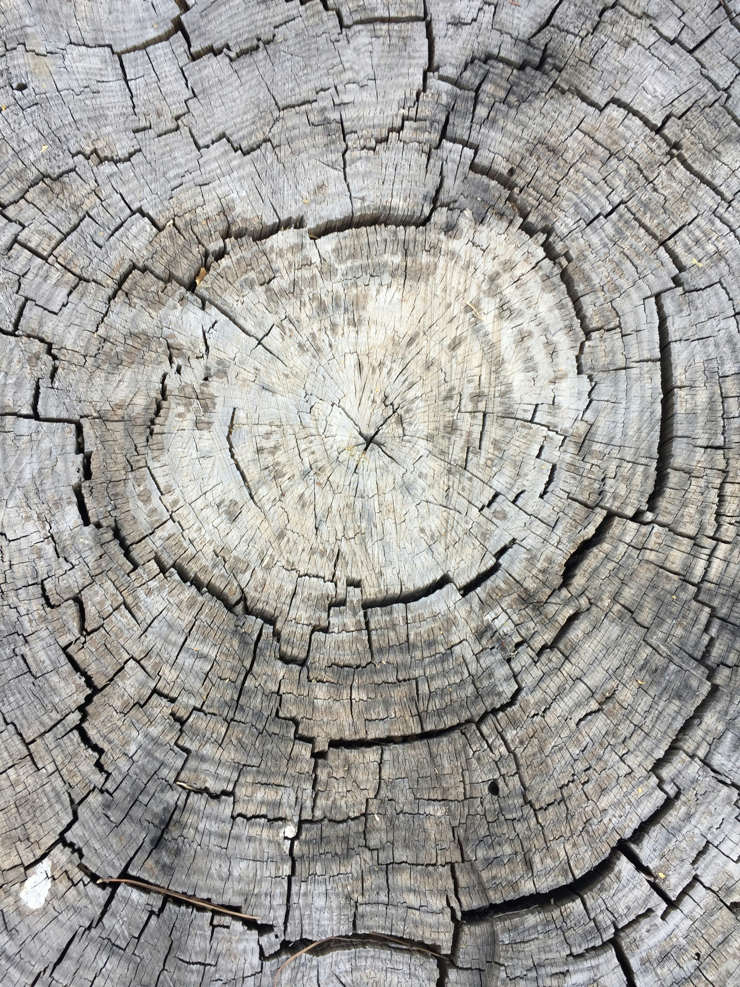 Photo by alexandersafronov