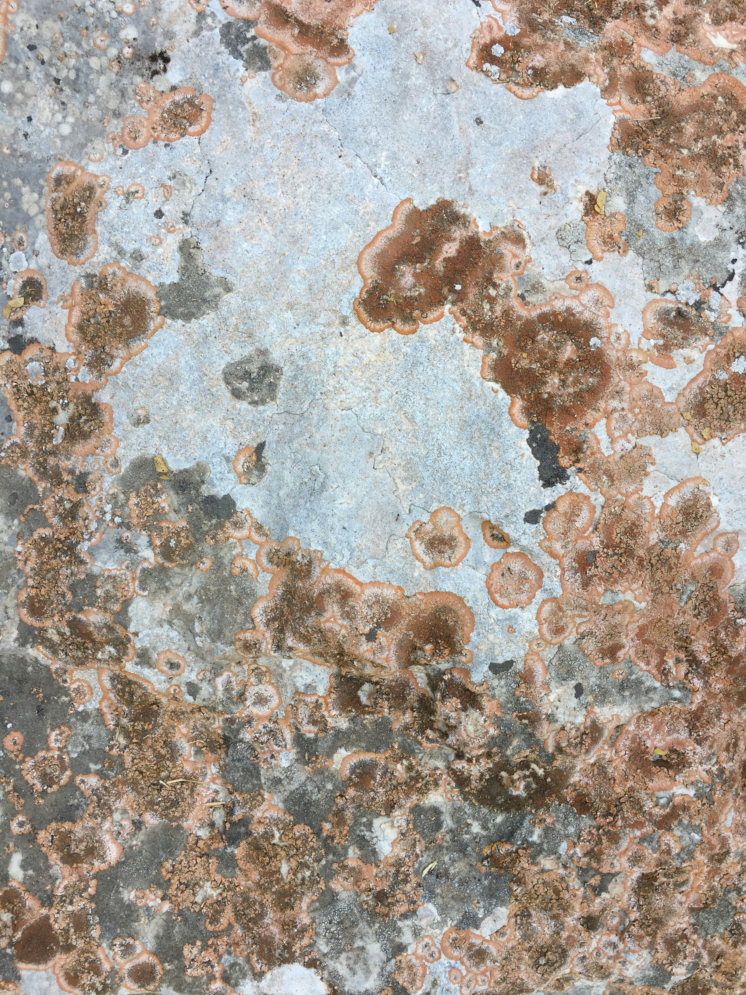 Photo by alexandersafronov