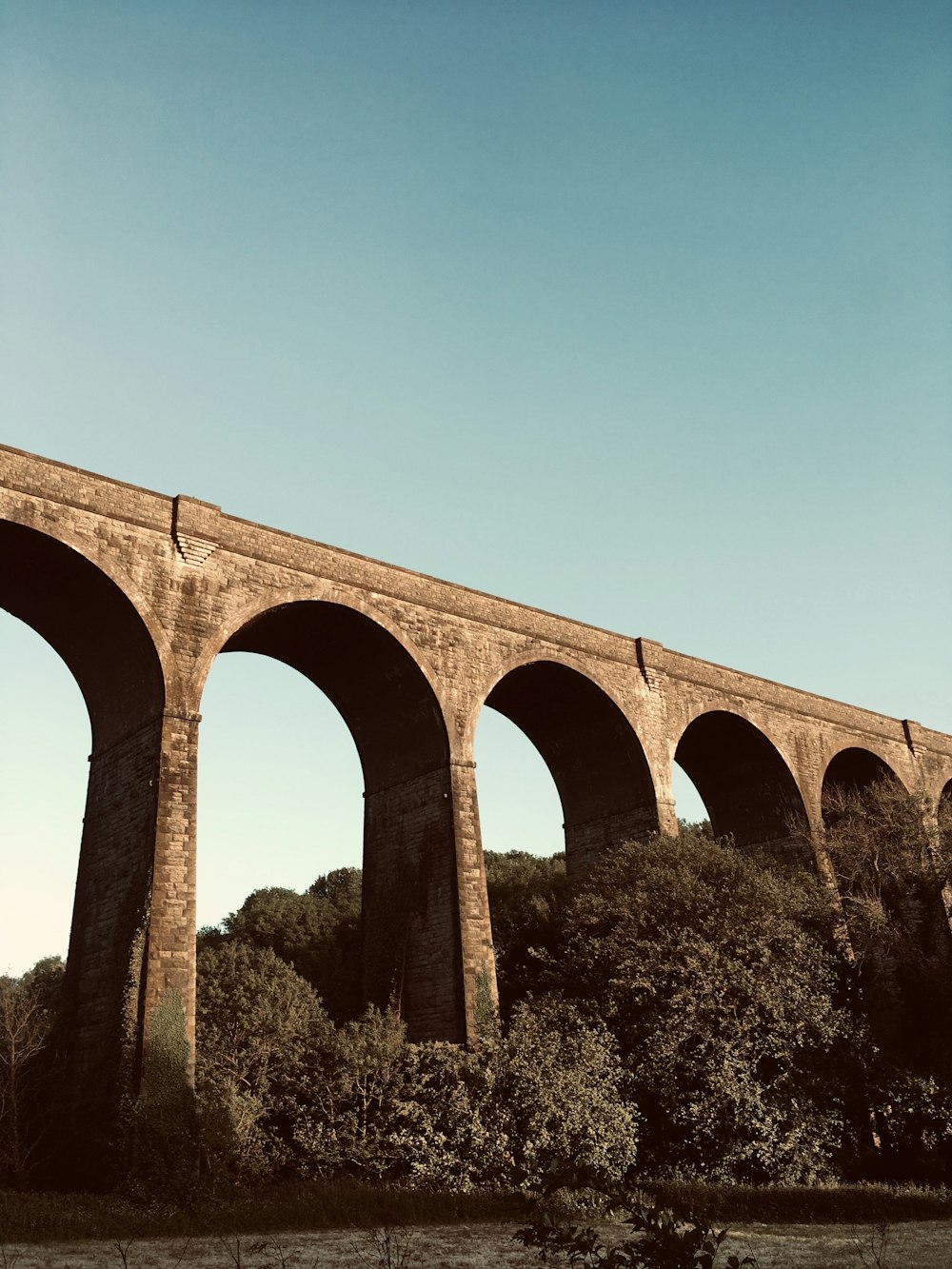 brown concrete bridge under blue sky during daytime