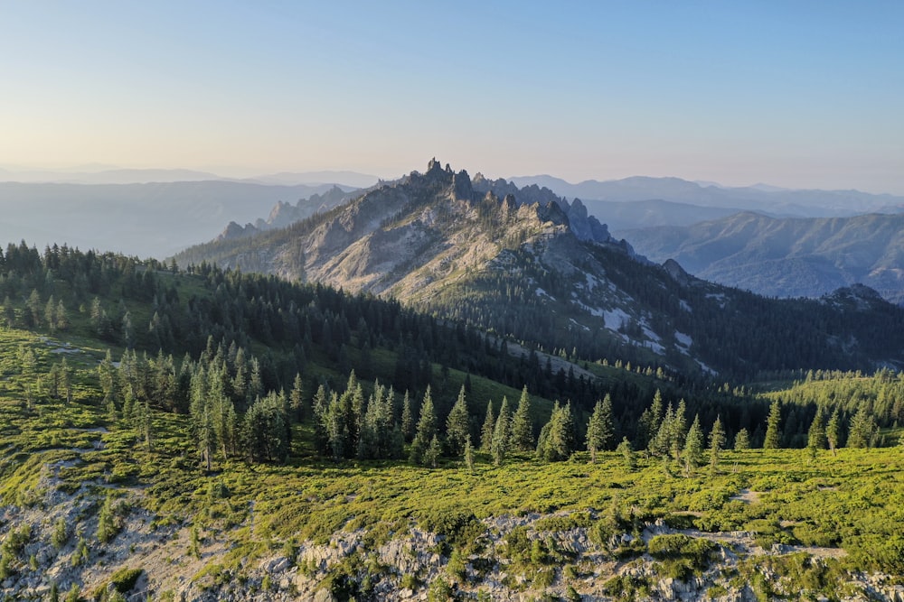 green pine trees on mountain during daytime